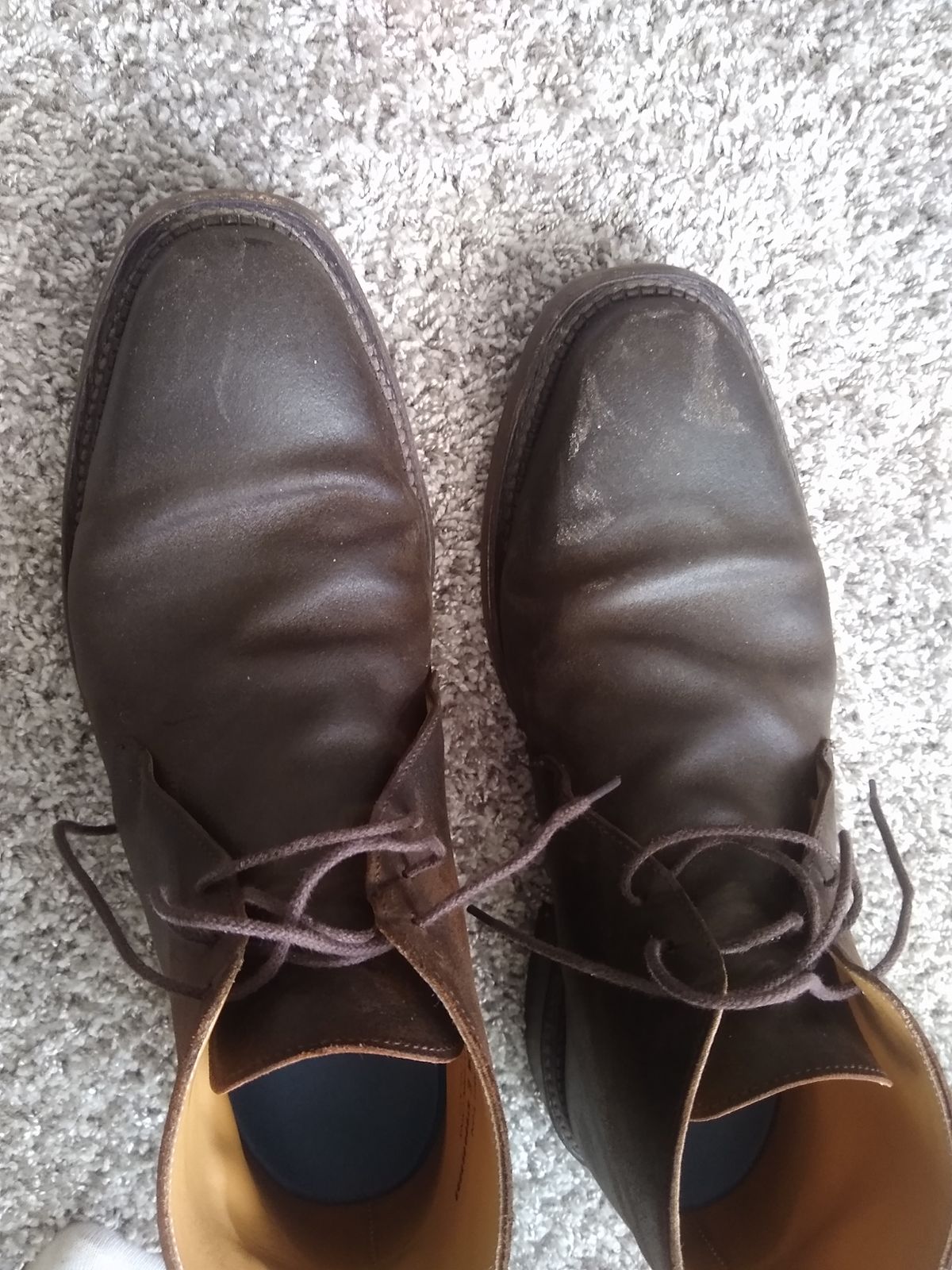 Photo by darknova306 on June 10, 2023 of the Crockett & Jones Molton in Dark Brown Roughout Suede.