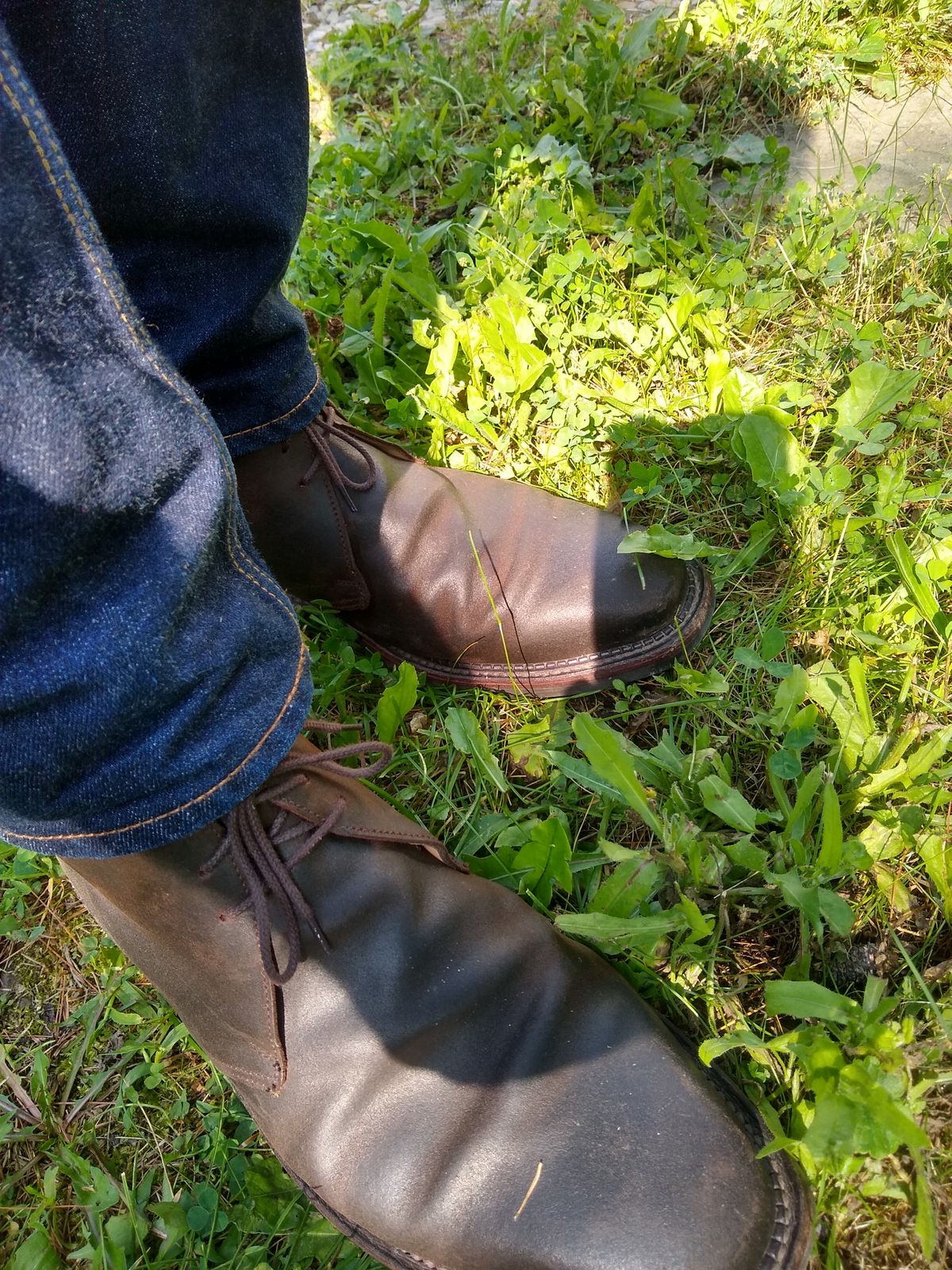 Photo by darknova306 on September 1, 2023 of the Crockett & Jones Molton in Dark Brown Roughout Suede.