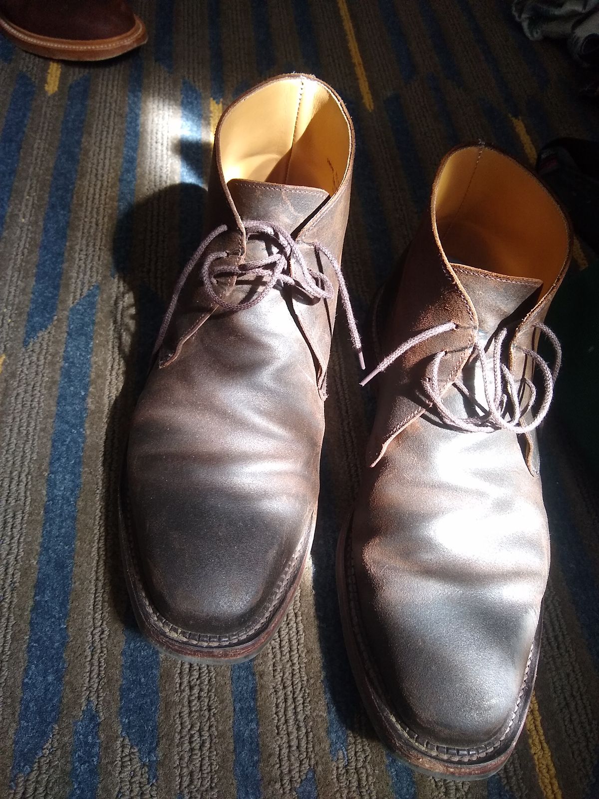 Photo by darknova306 on September 3, 2023 of the Crockett & Jones Molton in Dark Brown Roughout Suede.