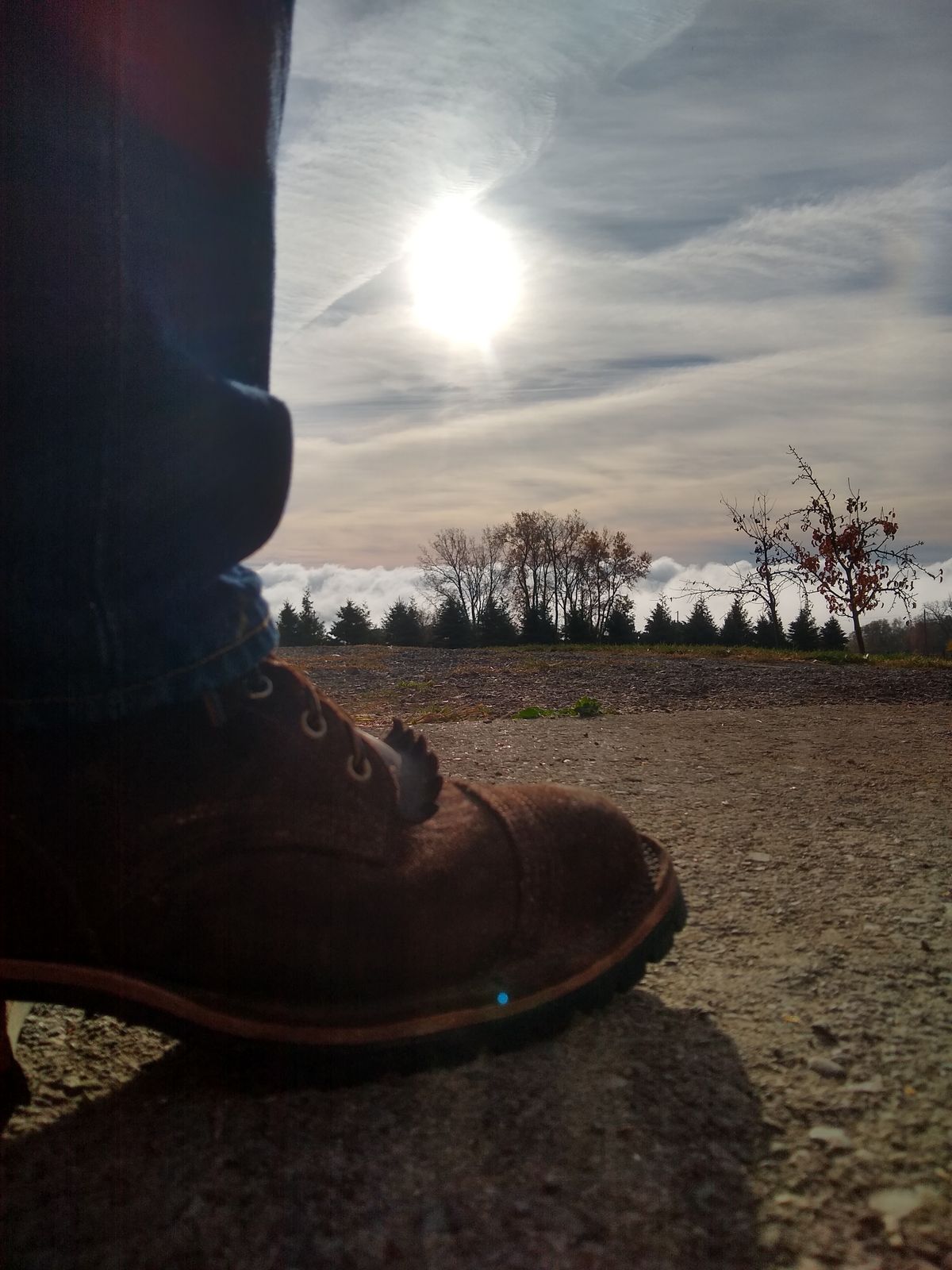 Photo by darknova306 on October 28, 2022 of the Nicks BuilderPro in Seidel 1964 Walnut Roughout.