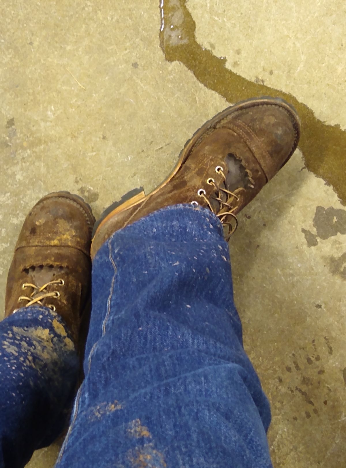 Photo by darknova306 on December 7, 2022 of the Nicks BuilderPro in Seidel 1964 Walnut Roughout.