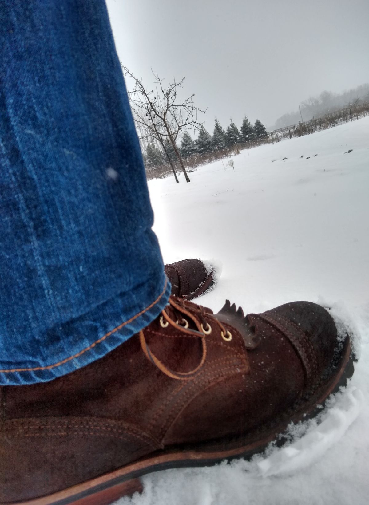 Photo by darknova306 on January 25, 2023 of the Nicks BuilderPro in Seidel 1964 Walnut Roughout.