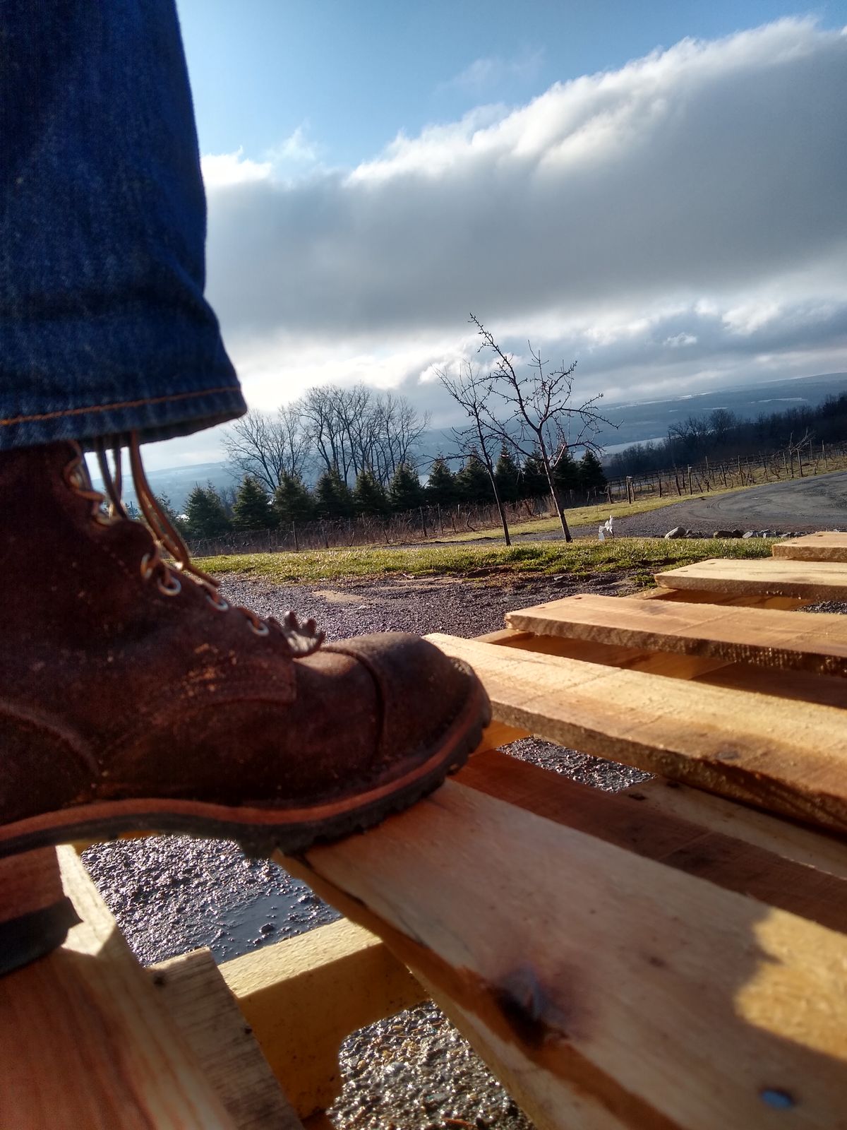 Photo by darknova306 on April 5, 2023 of the Nicks BuilderPro in Seidel 1964 Walnut Roughout.