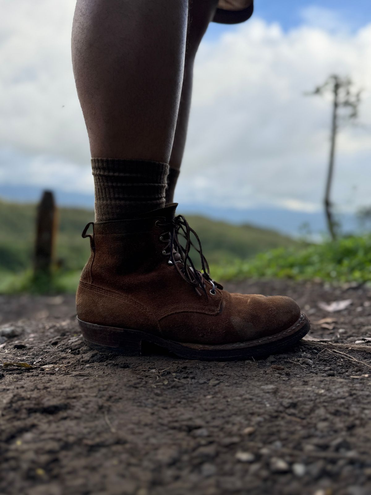 Photo by tlmader on July 4, 2025 of the White's Bounty Hunter in Seidel Distressed Roughout.