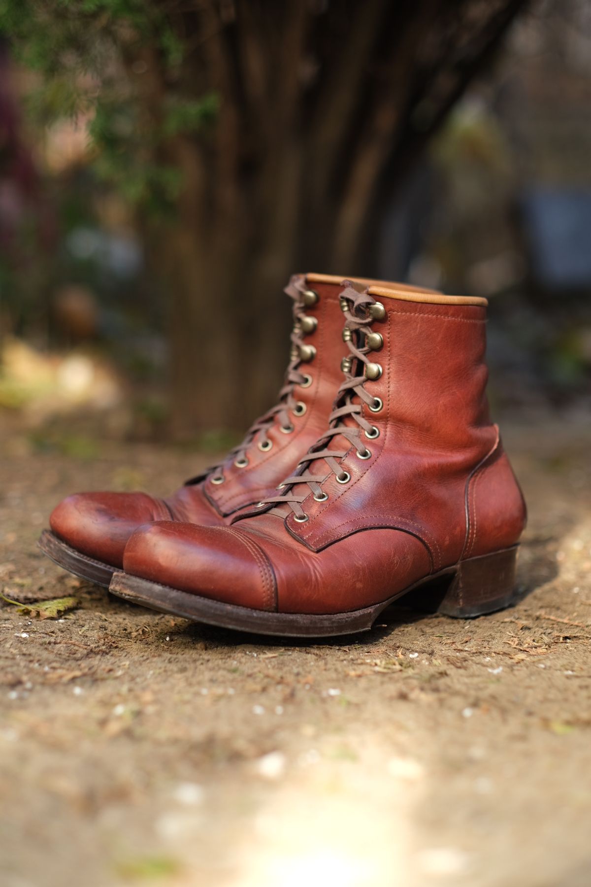 Photo by tlmader on December 5, 2025 of the Jorge Guadarrama Custom Model in Lefarc Cognac Albatros.