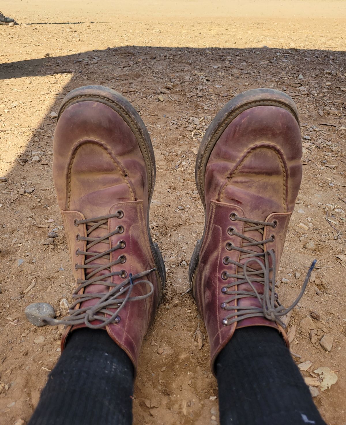 Photo by tlmader on April 9, 2023 of the Role Club Townsman Lace Boots in Horween Color 8 Shell Cordovan.
