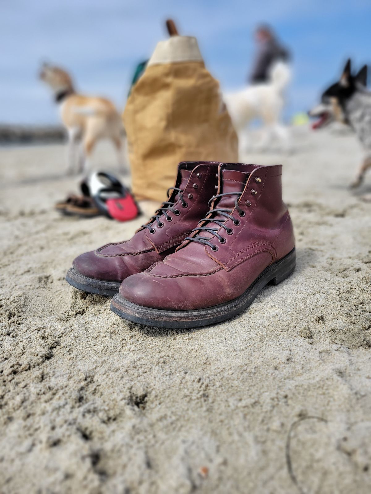 Photo by tlmader on June 3, 2023 of the Role Club Townsman Lace Boots in Horween Color 8 Shell Cordovan.