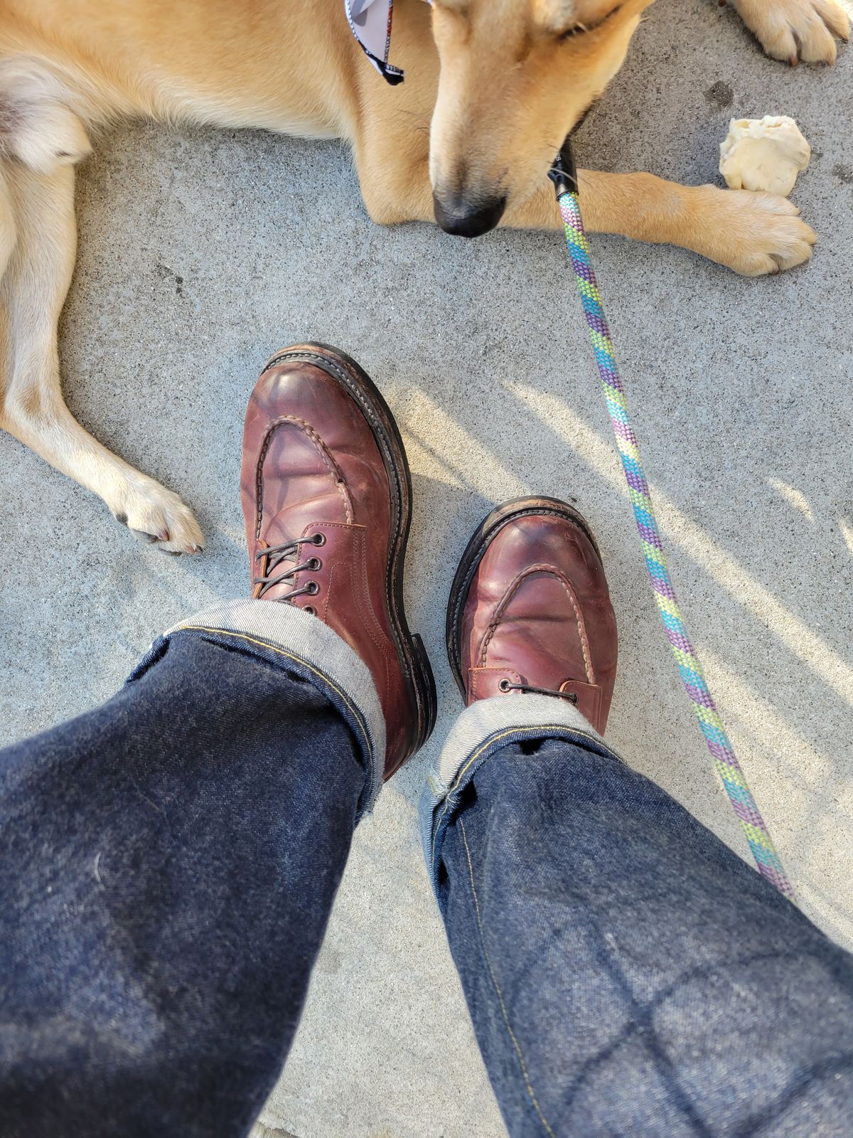 Photo by tlmader on June 25, 2023 of the Role Club Townsman Lace Boots in Horween Color 8 Shell Cordovan.