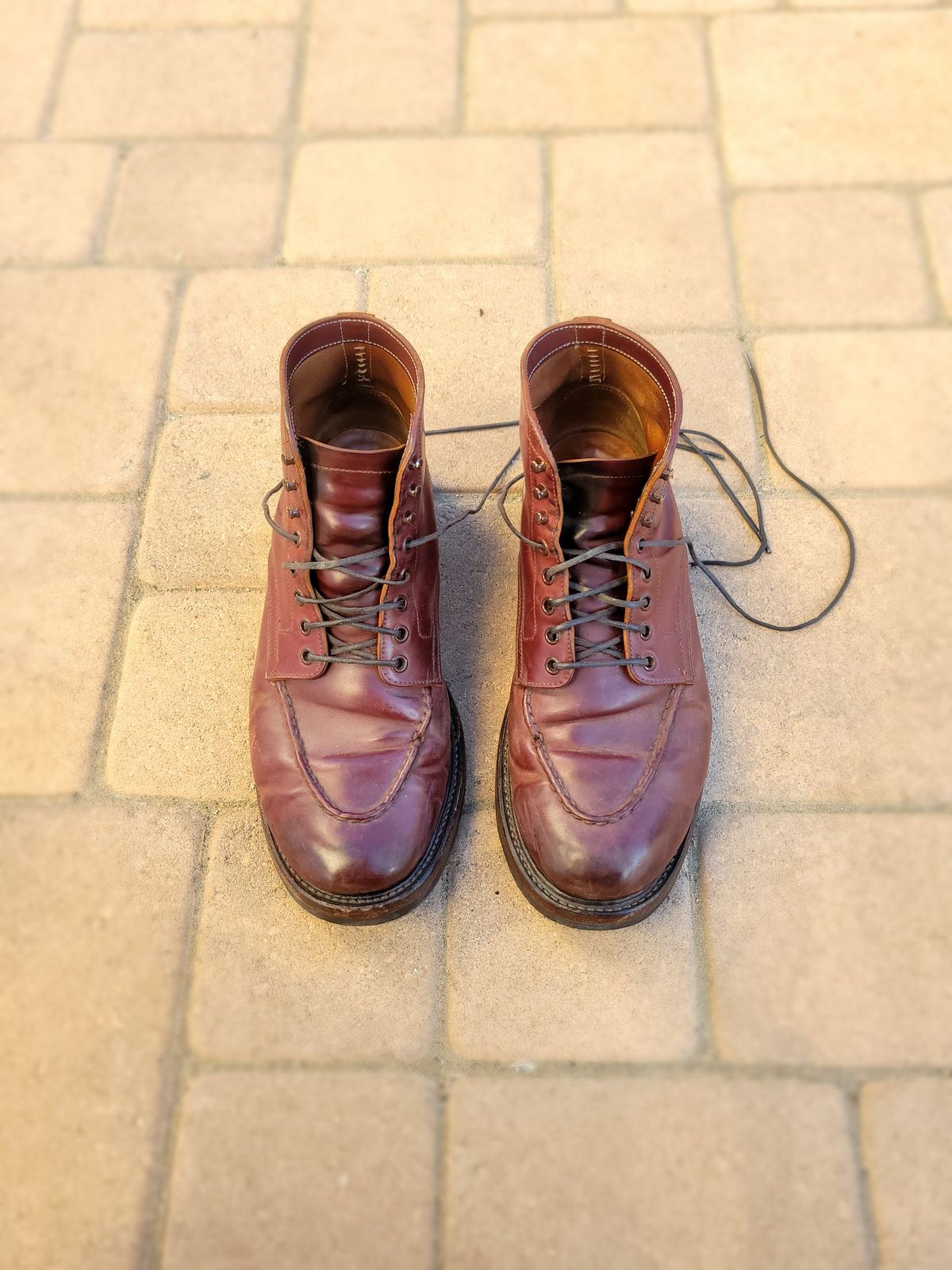 Photo by tlmader on September 5, 2023 of the Role Club Townsman Lace Boots in Horween Color 8 Shell Cordovan.