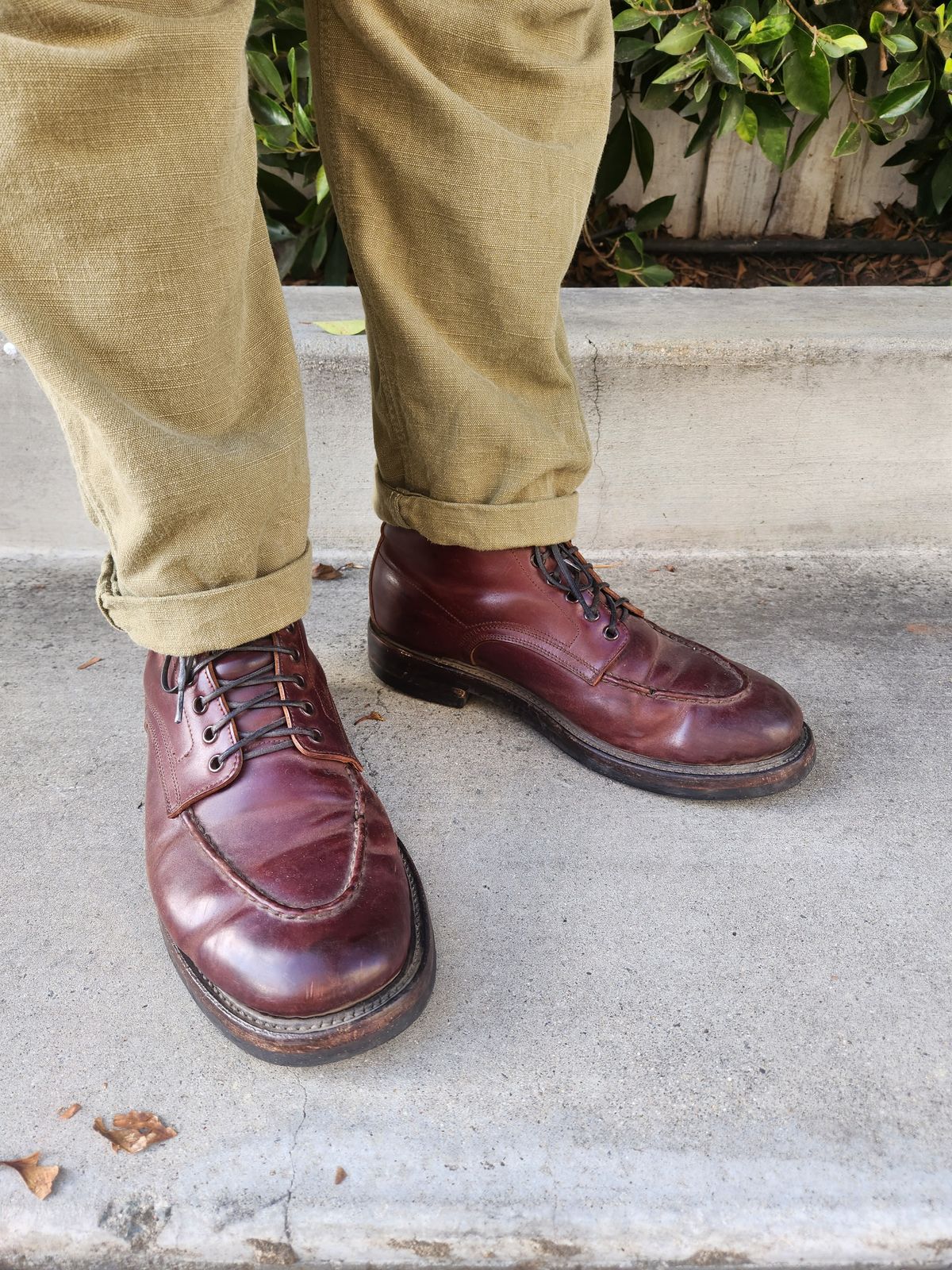Photo by tlmader on July 2, 2024 of the Role Club Townsman Lace Boots in Horween Color 8 Shell Cordovan.