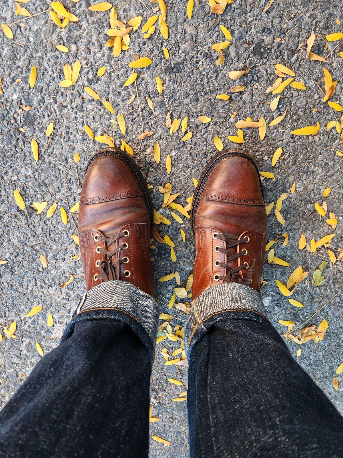 Photo by tlmader on October 9, 2024 of the White Kloud Blucher.87 in Leder Ogawa Coffee Shell Cordovan.