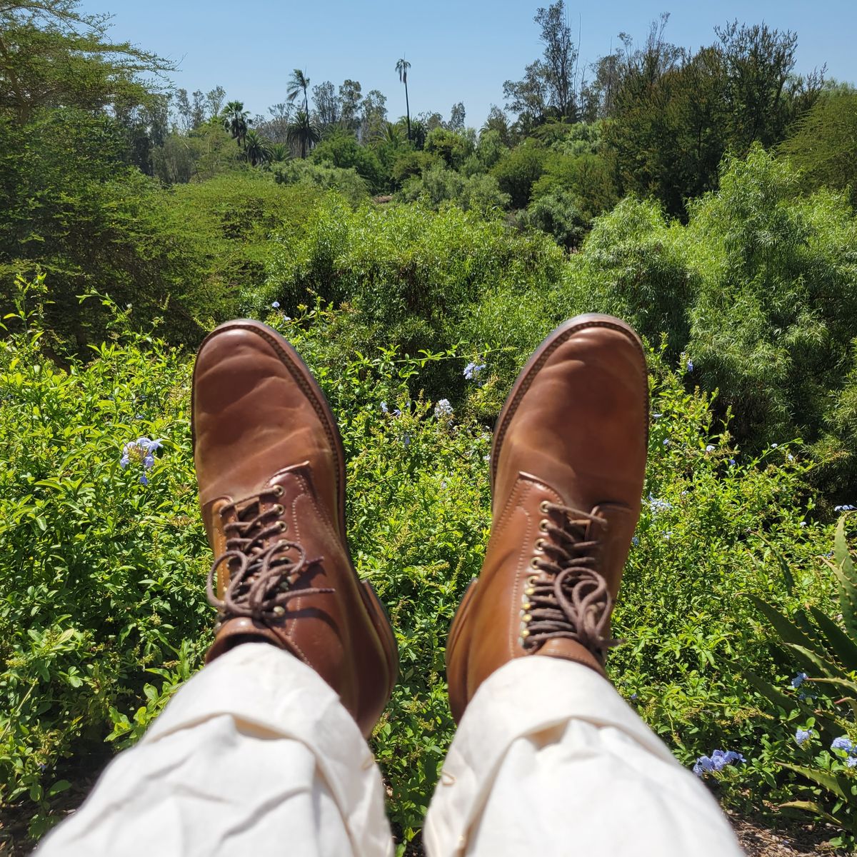 Photo by tlmader on September 6, 2021 of the Flame Panda Service Boot in Horween Bourbon Shell Cordovan.