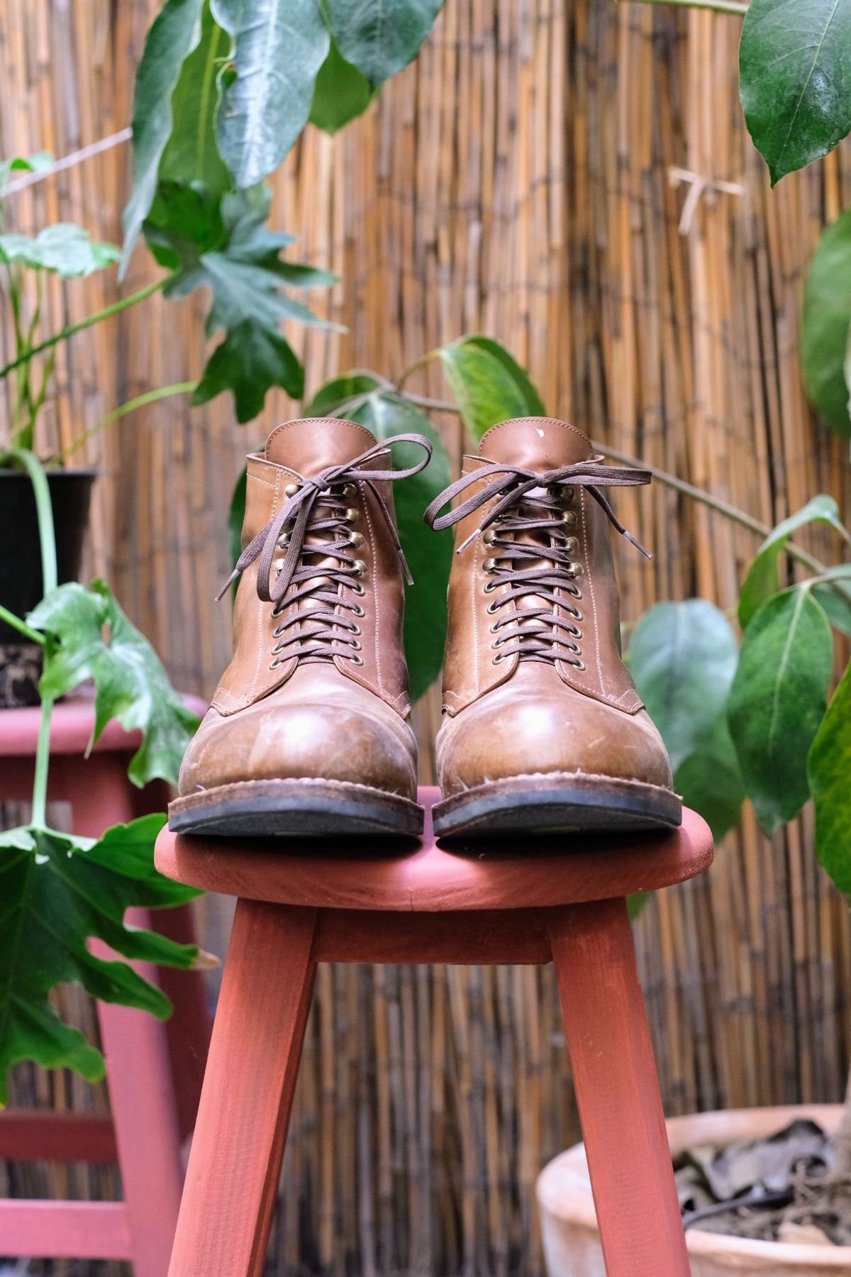 Photo by tlmader on January 5, 2024 of the Julian Boots Madison in Horween Bourbon Shell Cordovan.