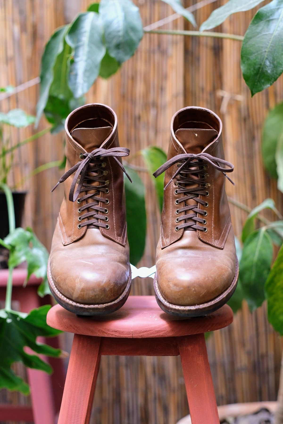 Photo by tlmader on January 5, 2024 of the Julian Boots Madison in Horween Bourbon Shell Cordovan.
