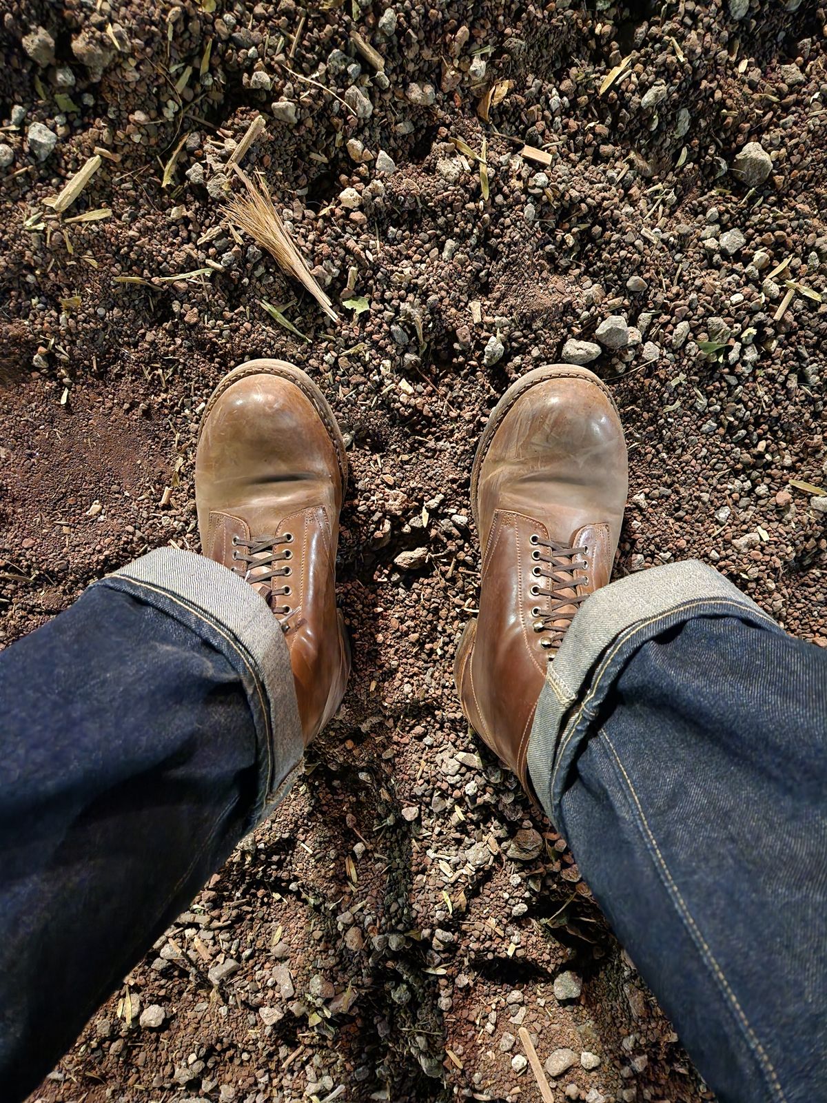 Photo by tlmader on February 10, 2024 of the Julian Boots Madison in Horween Bourbon Shell Cordovan.