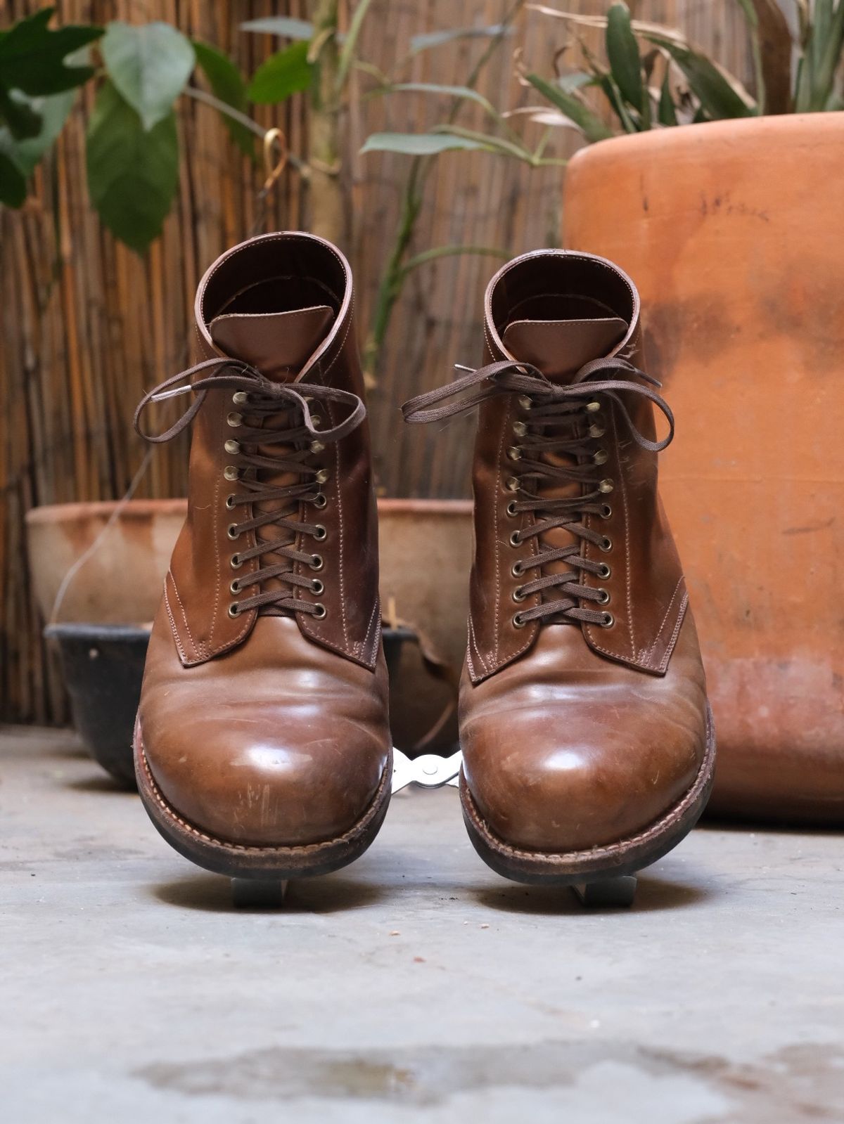 Photo by tlmader on March 5, 2024 of the Julian Boots Madison in Horween Bourbon Shell Cordovan.