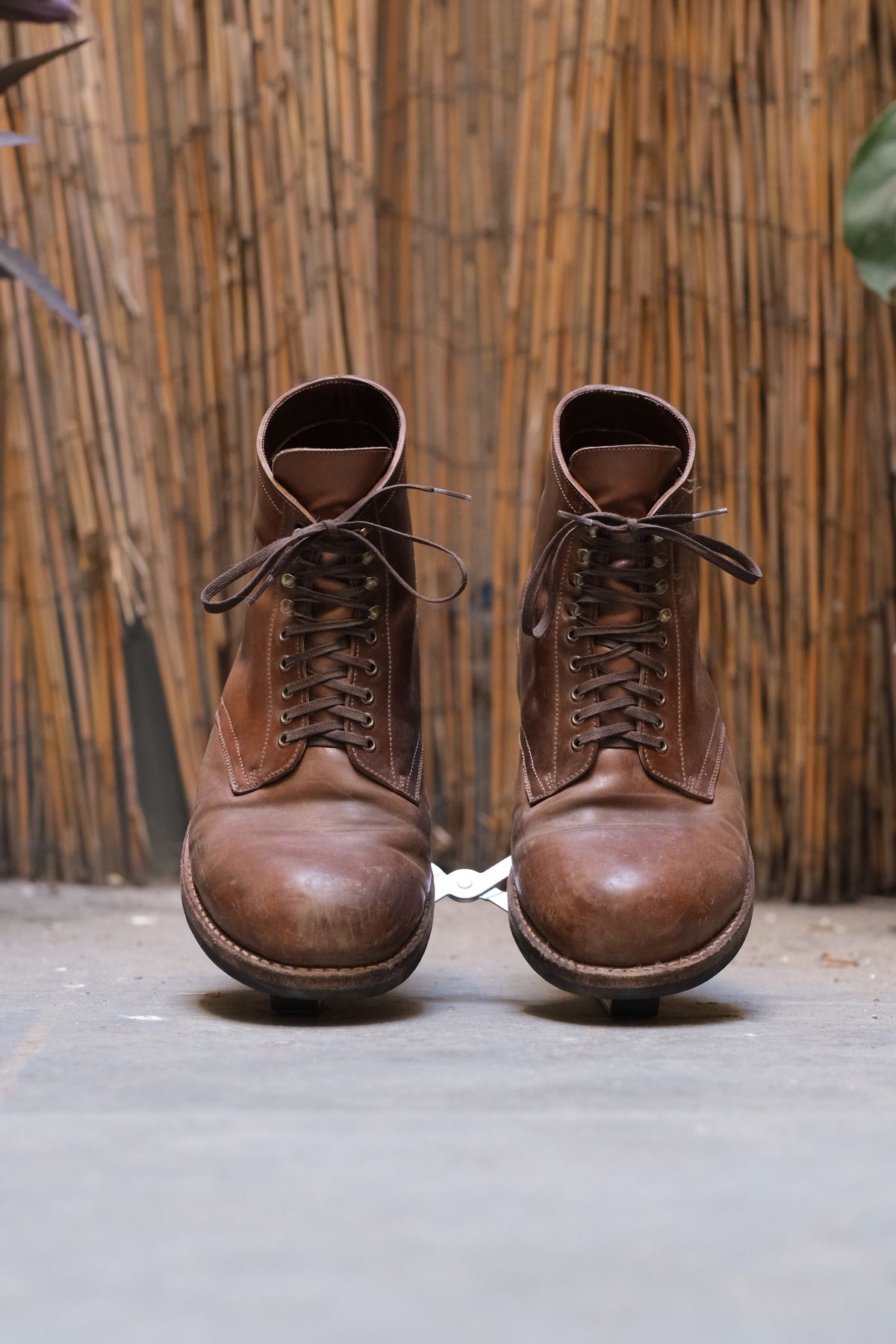 Photo by tlmader on April 5, 2024 of the Julian Boots Madison in Horween Bourbon Shell Cordovan.