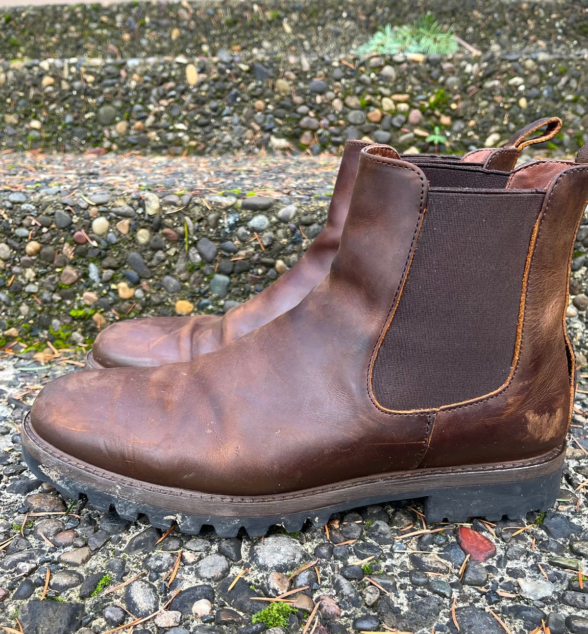 Photo by jenr.l.good on January 1, 2024 of the Patina Welted Chelsea Boot in Canyon Full Grain.