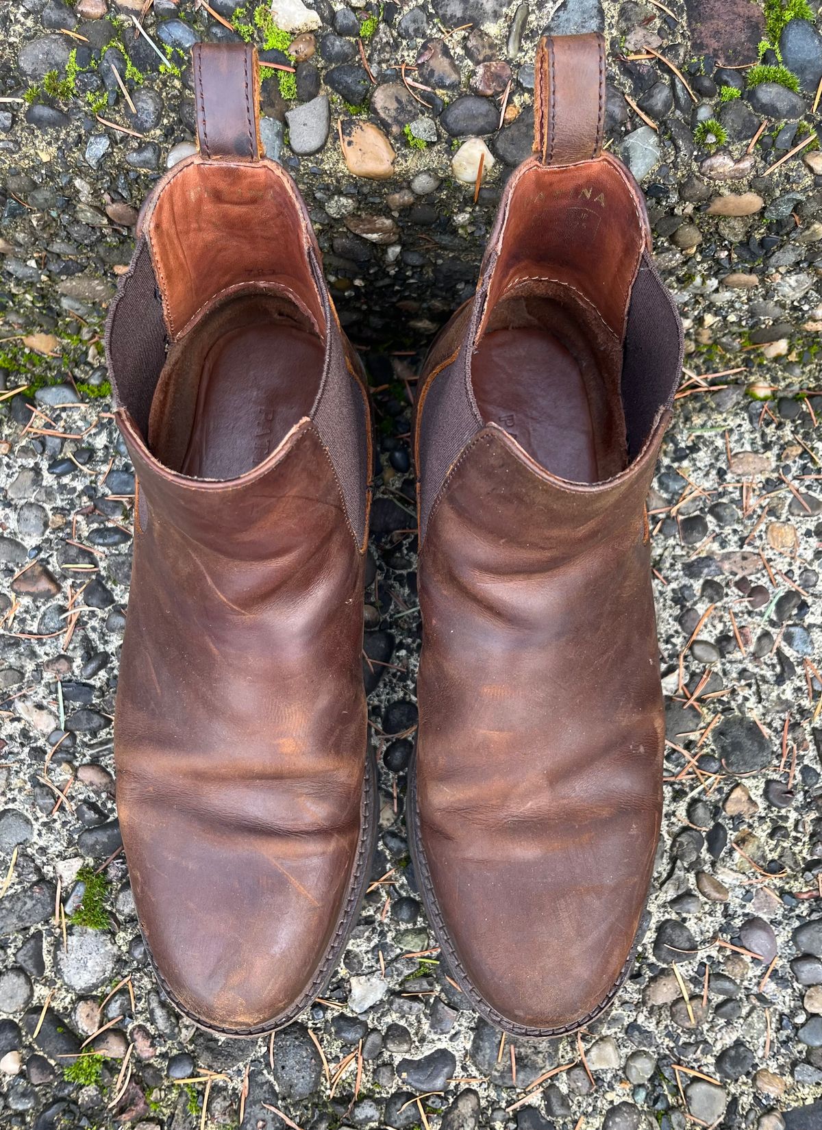 Photo by jenr.l.good on January 1, 2024 of the Patina Welted Chelsea Boot in Canyon Full Grain.