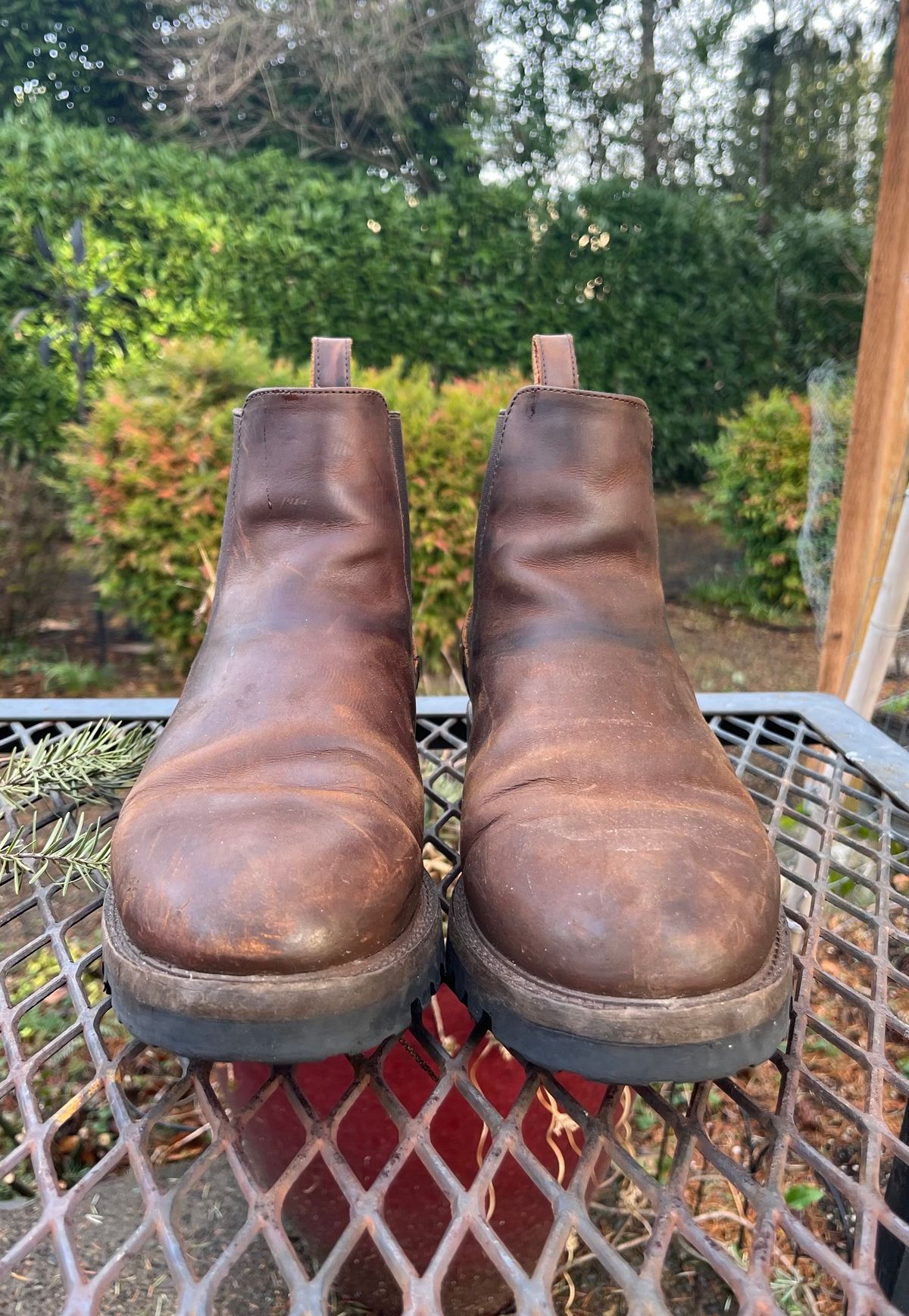 Photo by jenr.l.good on February 1, 2024 of the Patina Welted Chelsea Boot in Canyon Full Grain.