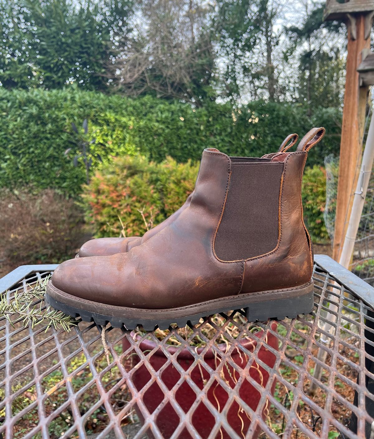 Photo by jenr.l.good on February 1, 2024 of the Patina Welted Chelsea Boot in Canyon Full Grain.