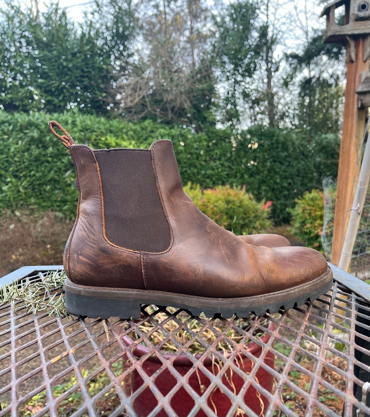 Photo by jenr.l.good on February 1, 2024 of the Patina Welted Chelsea Boot in Canyon Full Grain.