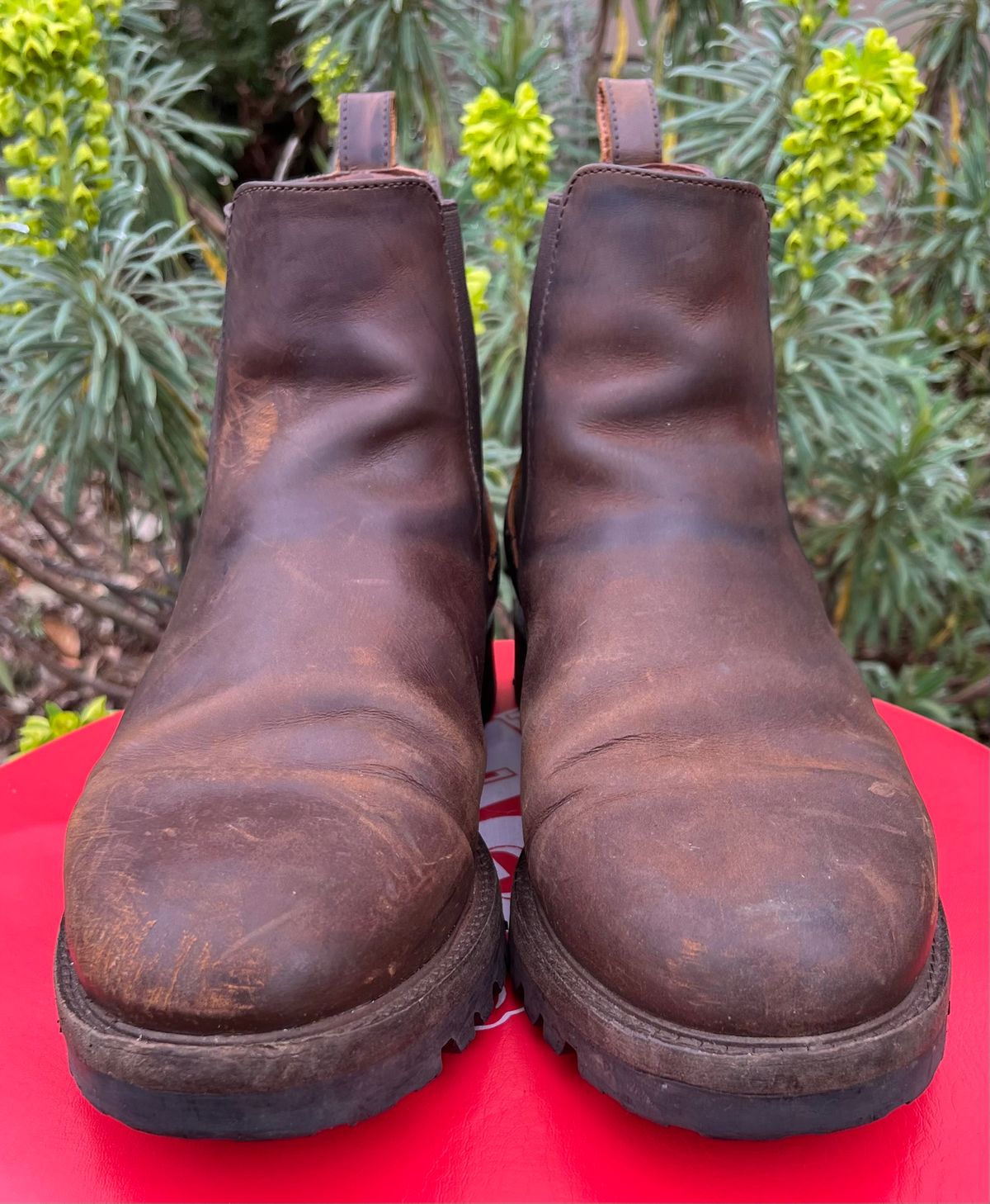 Photo by jenr.l.good on March 4, 2024 of the Patina Welted Chelsea Boot in Canyon Full Grain.