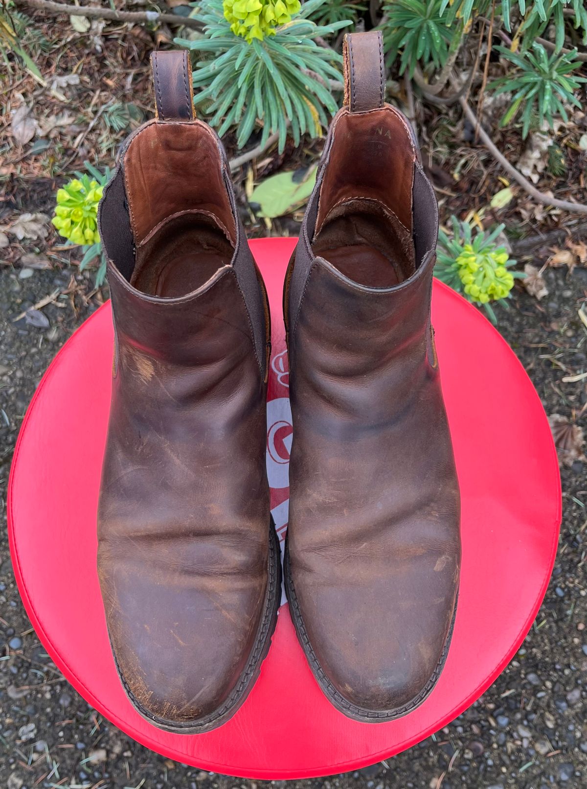 Photo by jenr.l.good on March 4, 2024 of the Patina Welted Chelsea Boot in Canyon Full Grain.