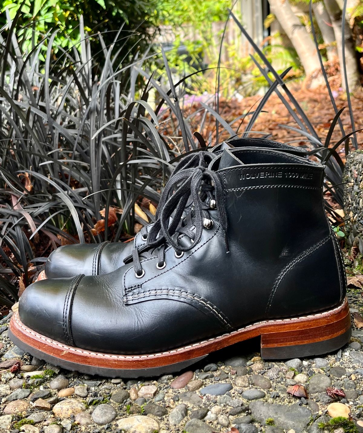 Photo by jenr.l.good on November 1, 2022 of the Wolverine 1000 Mile Cap-Toe Boot in Horween Black Chromexcel.