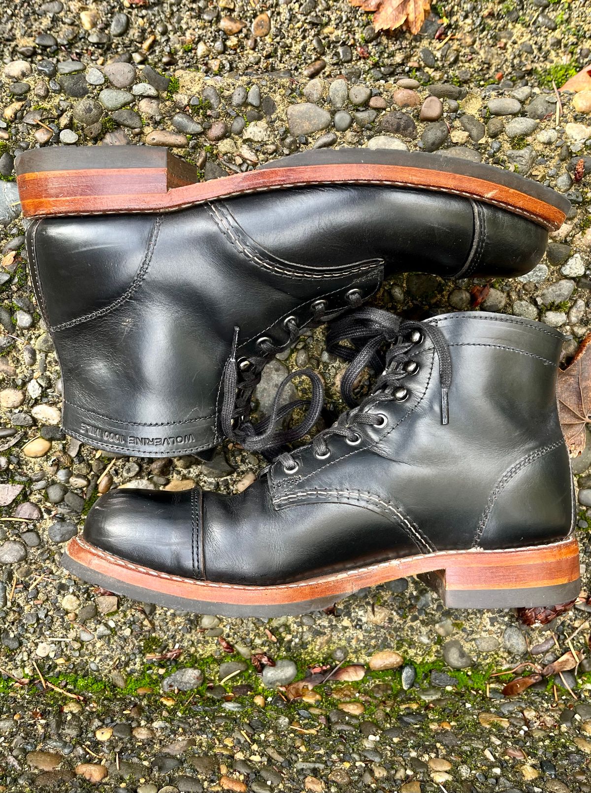 Photo by jenr.l.good on November 1, 2022 of the Wolverine 1000 Mile Cap-Toe Boot in Horween Black Chromexcel.