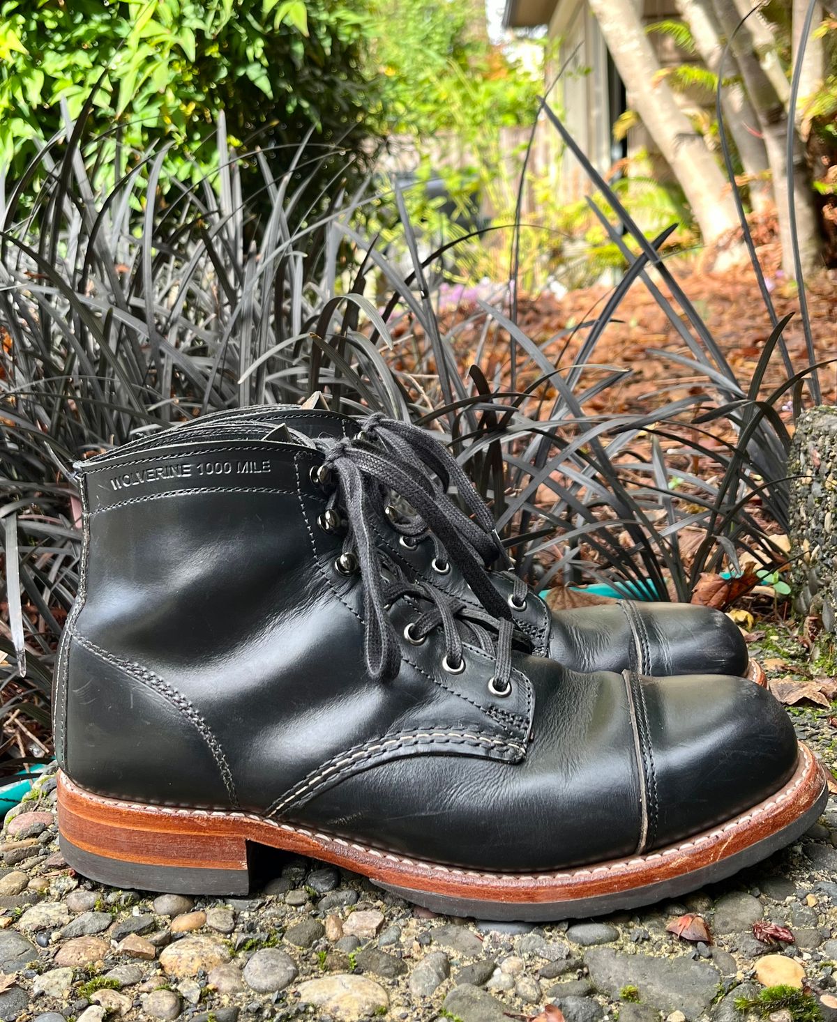 Photo by jenr.l.good on November 1, 2022 of the Wolverine 1000 Mile Cap-Toe Boot in Horween Black Chromexcel.