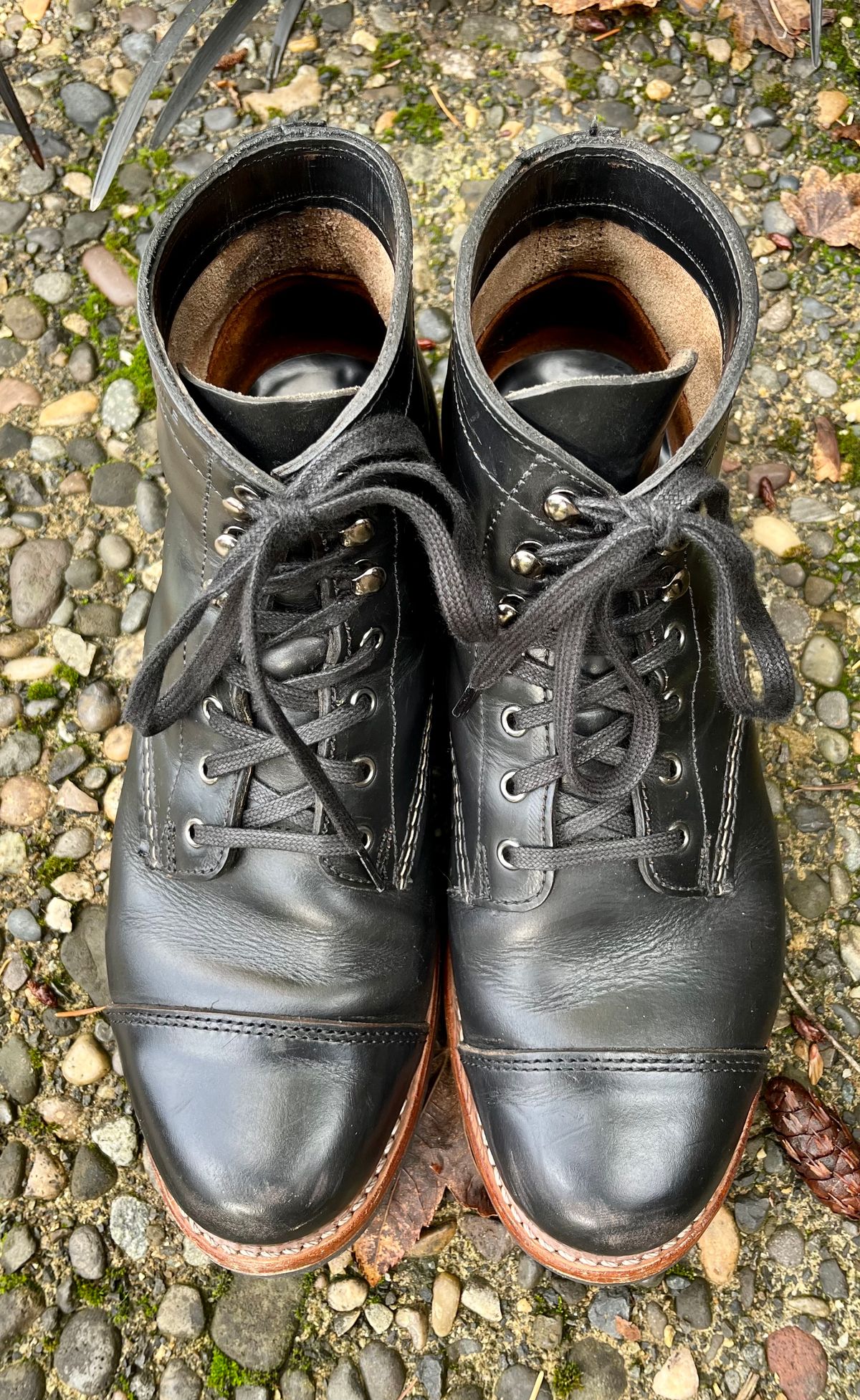 Photo by jenr.l.good on November 1, 2022 of the Wolverine 1000 Mile Cap-Toe Boot in Horween Black Chromexcel.
