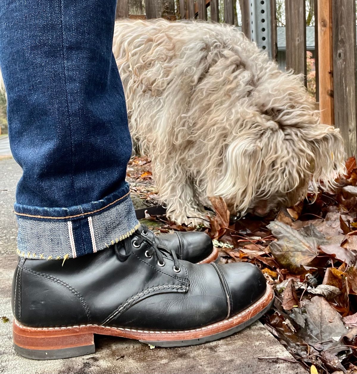 Photo by jenr.l.good on December 11, 2022 of the Wolverine 1000 Mile Cap-Toe Boot in Horween Black Chromexcel.