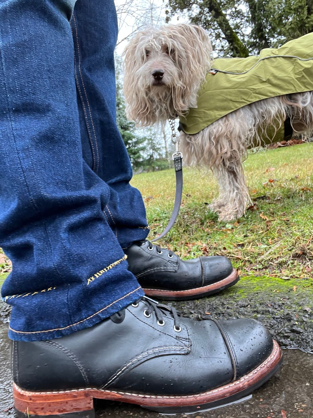 Photo by jenr.l.good on January 3, 2023 of the Wolverine 1000 Mile Cap-Toe Boot in Horween Black Chromexcel.