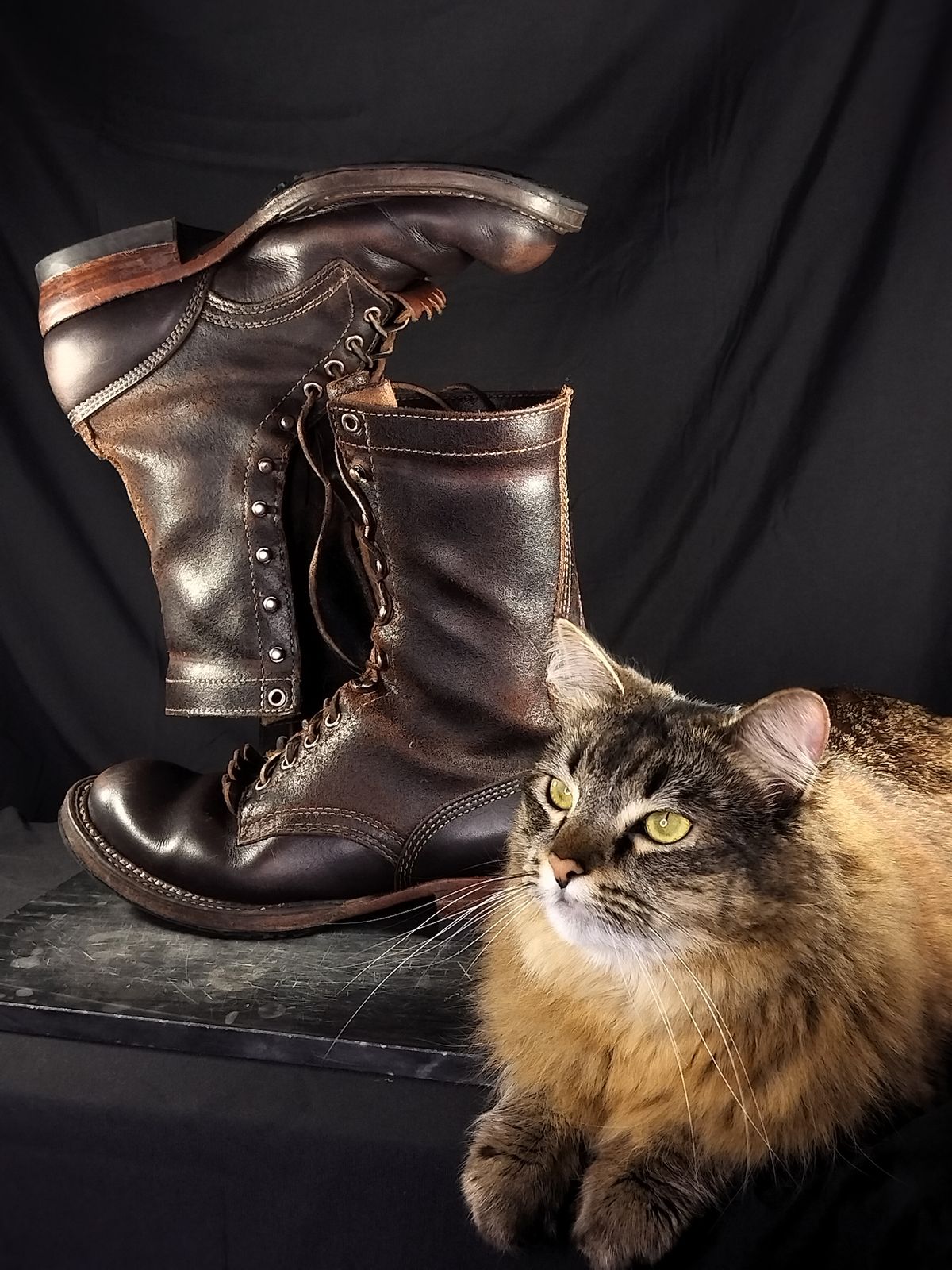 Photo by a1moyer on March 2, 2026 of the White's Custom Model in Horween Dark Brown Waxed Flesh & Seidel Brown Dress.