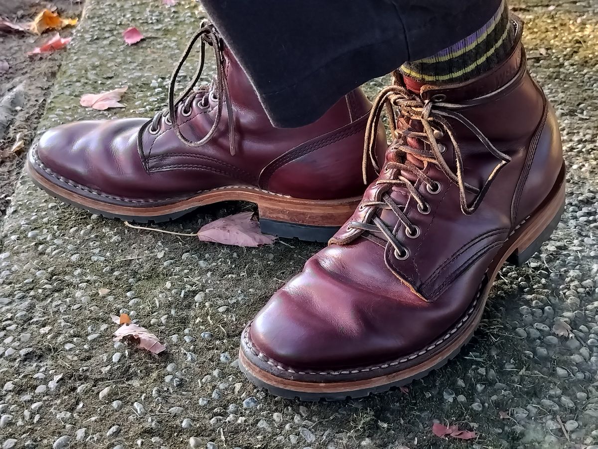 Photo by a1moyer on October 14, 2024 of the White's MP-Sherman Plain Toe in Horween Color 8 Chromexcel.
