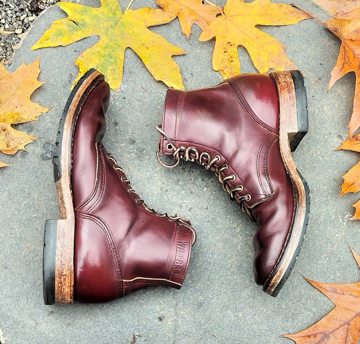 Photo by a1moyer on November 4, 2024 of the White's MP-Sherman Plain Toe in Horween Color 8 Chromexcel.