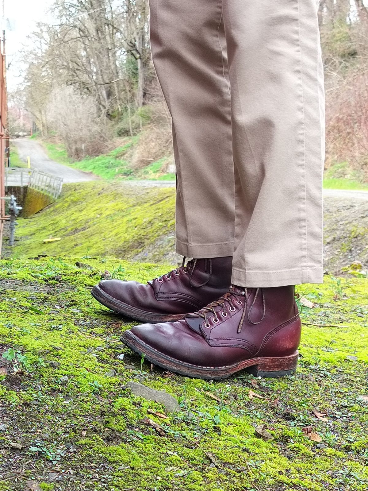 Photo by a1moyer on March 10, 2025 of the White's MP-Sherman Plain Toe in Horween Color 8 Chromexcel.