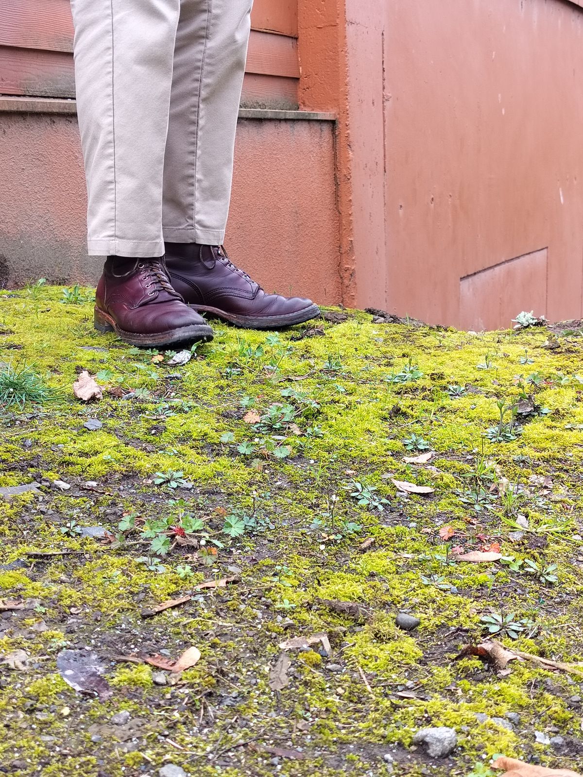Photo by a1moyer on March 10, 2025 of the White's MP-Sherman Plain Toe in Horween Color 8 Chromexcel.