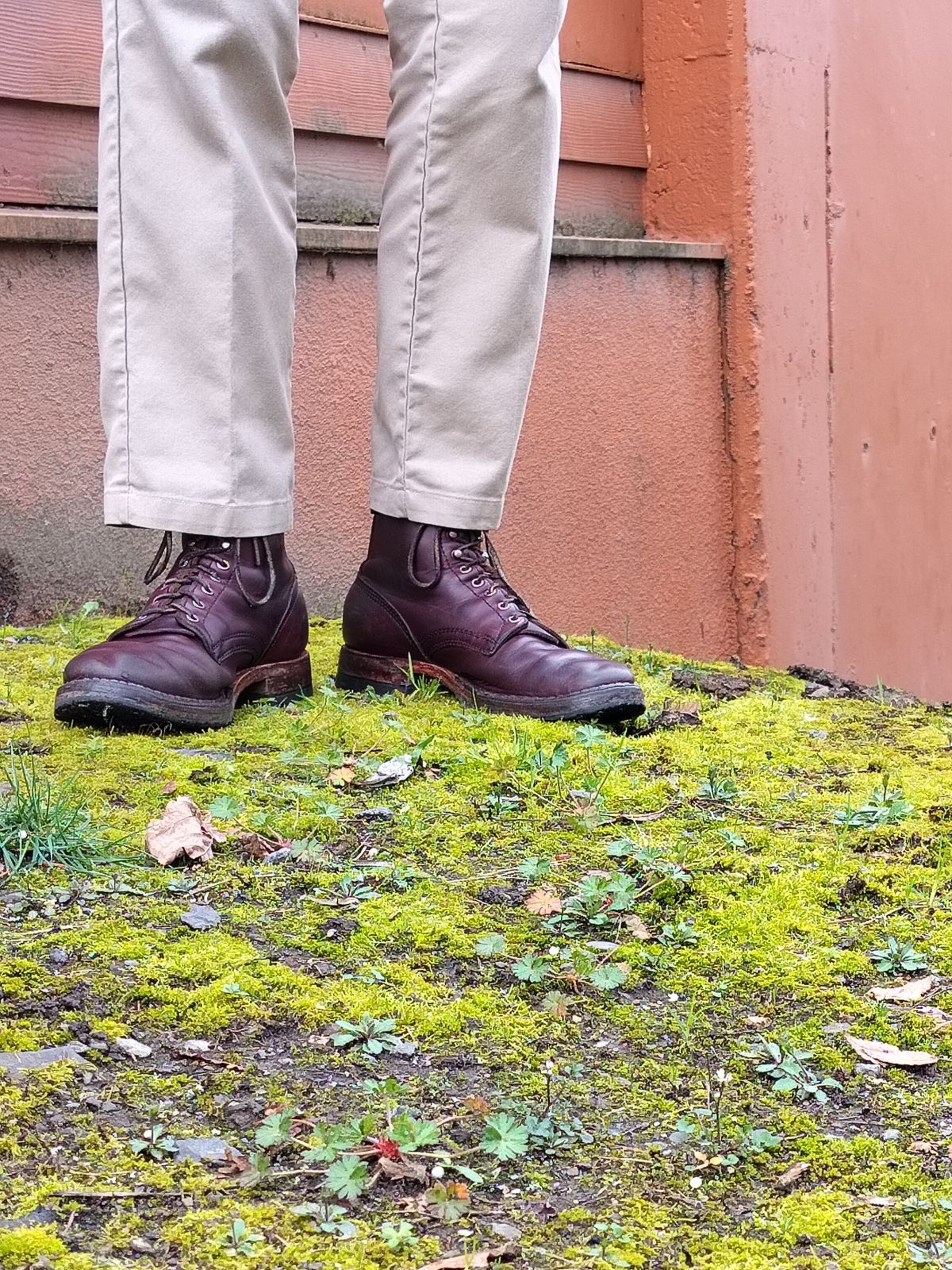 Photo by a1moyer on March 10, 2025 of the White's MP-Sherman Plain Toe in Horween Color 8 Chromexcel.