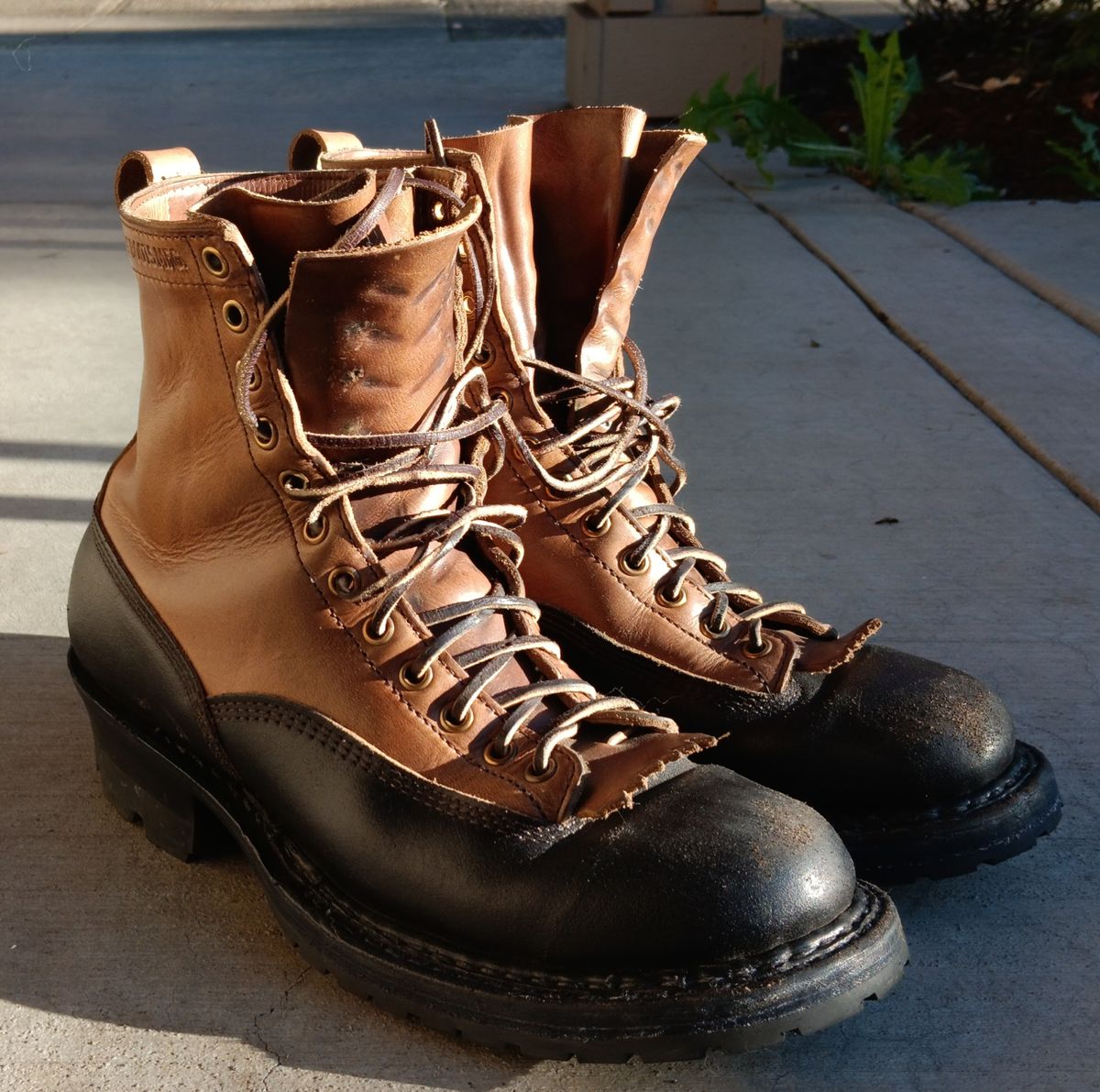 Photo by a1moyer on October 8, 2023 of the White's x Division Road LTT Logger 375 in Horween Black Waxed Flesh & Horween Natural Chromexcel.