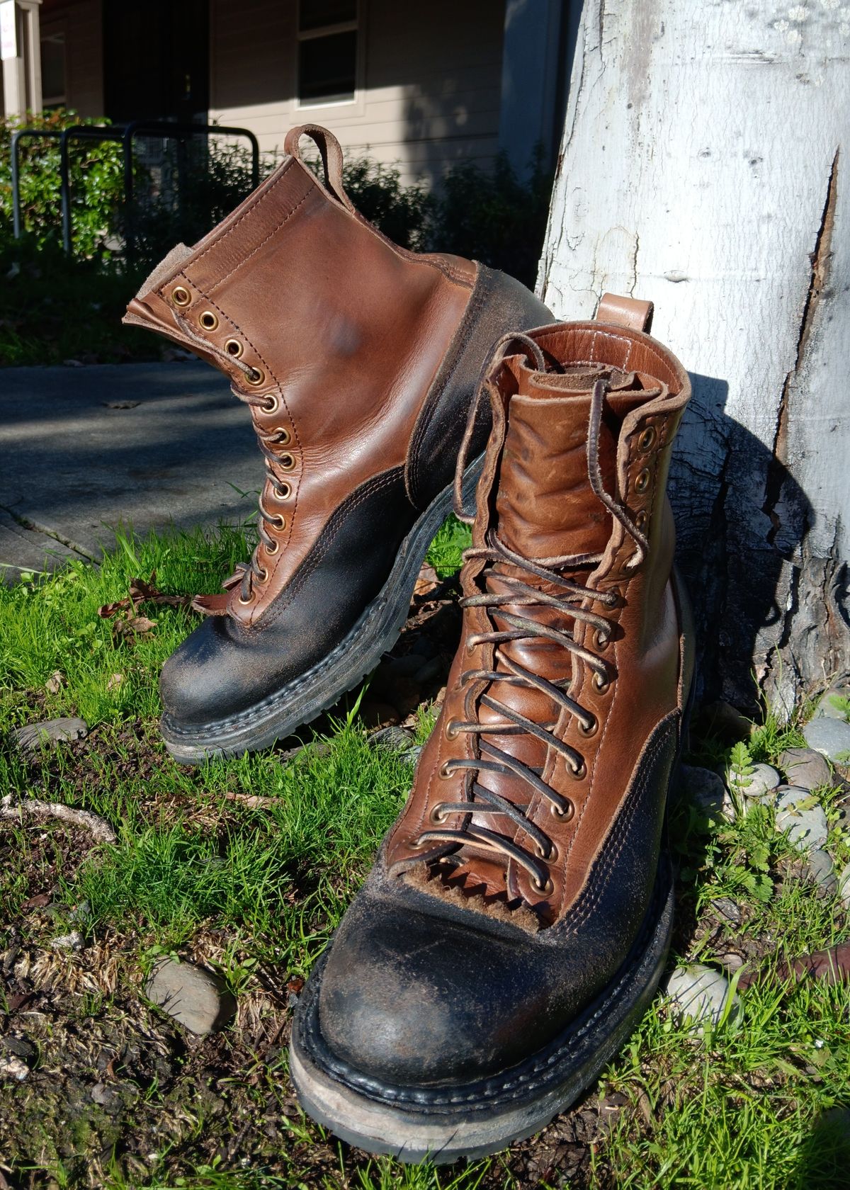 Photo by a1moyer on October 30, 2023 of the White's x Division Road LTT Logger 375 in Horween Black Waxed Flesh & Horween Natural Chromexcel.