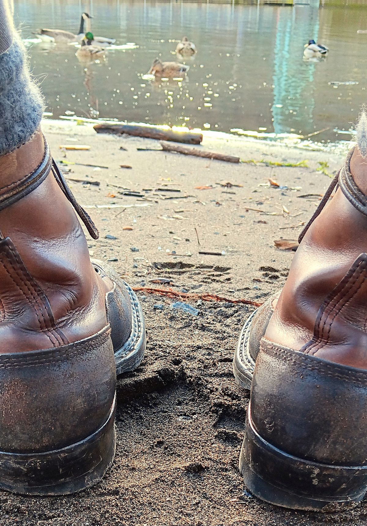 Photo by a1moyer on February 1, 2024 of the White's x Division Road LTT Logger 375 in Horween Black Waxed Flesh & Horween Natural Chromexcel.