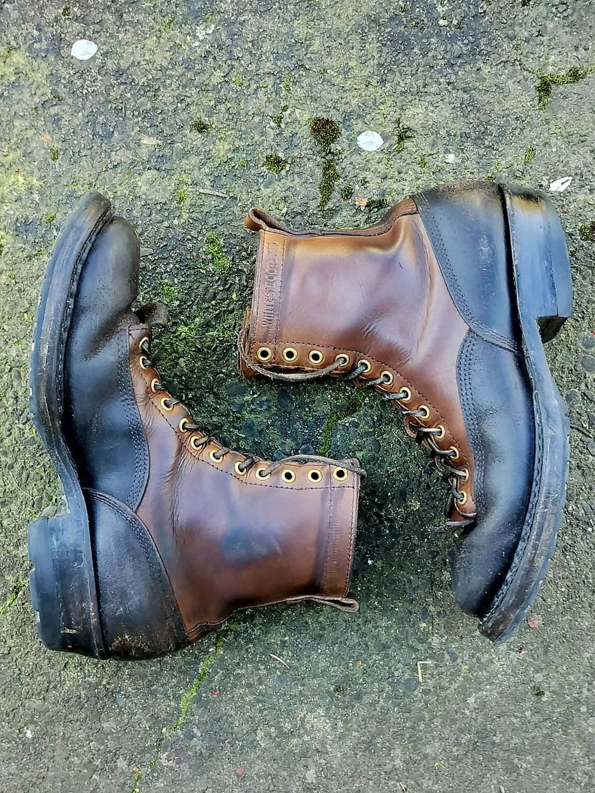 Photo by a1moyer on April 3, 2024 of the White's x Division Road LTT Logger 375 in Horween Black Waxed Flesh & Horween Natural Chromexcel.