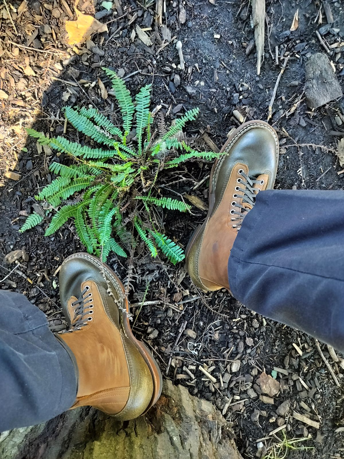 Photo by a1moyer on August 5, 2024 of the White's 375 LTT Construction Boot in Seidel Distressed Smooth & Horween Olive Waxed Flesh.