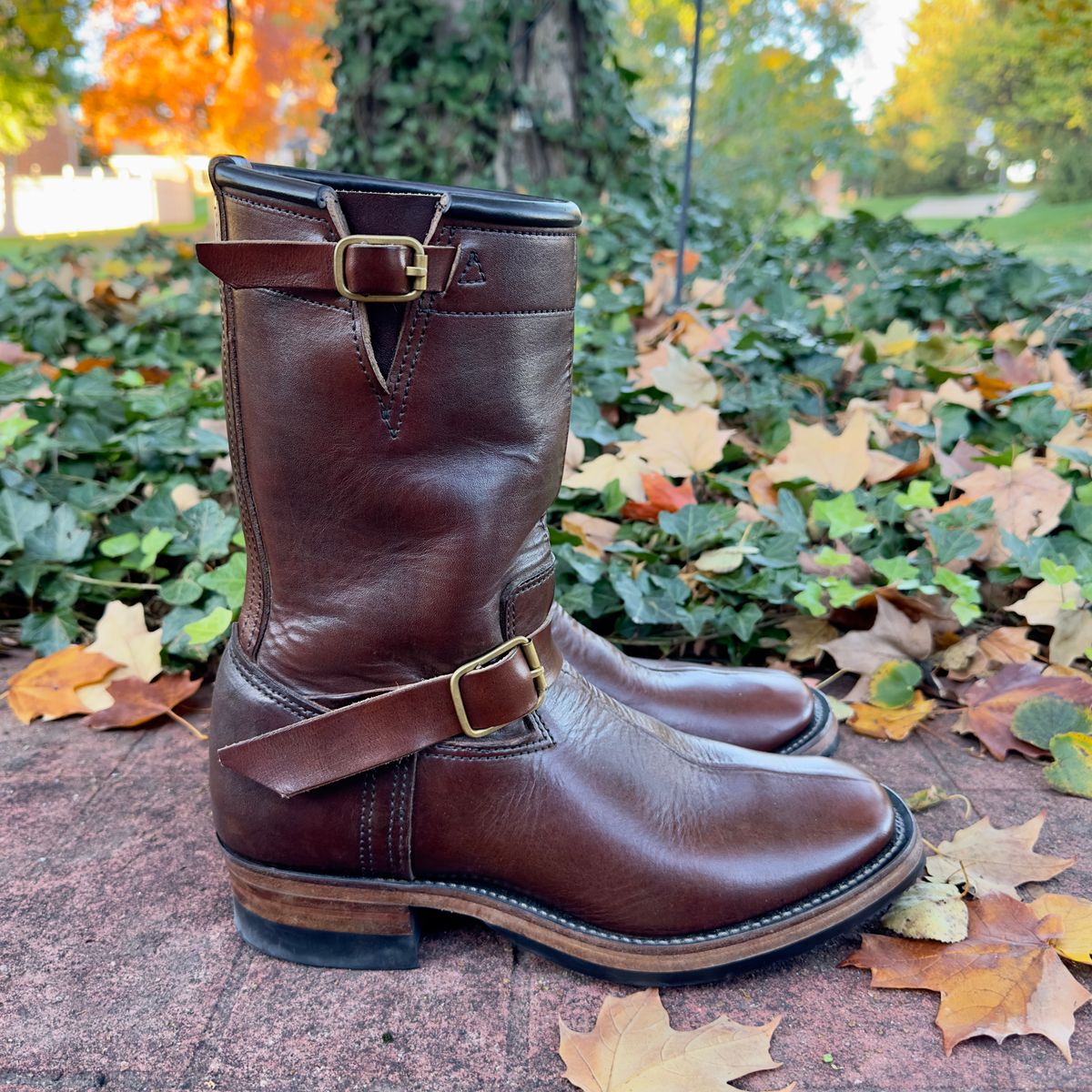 Photo by rawtofaded on November 5, 2025 of the Kreosote PaRLOR SkAR in Wickett & Craig Russet Harness with Kustom Color Treatment.