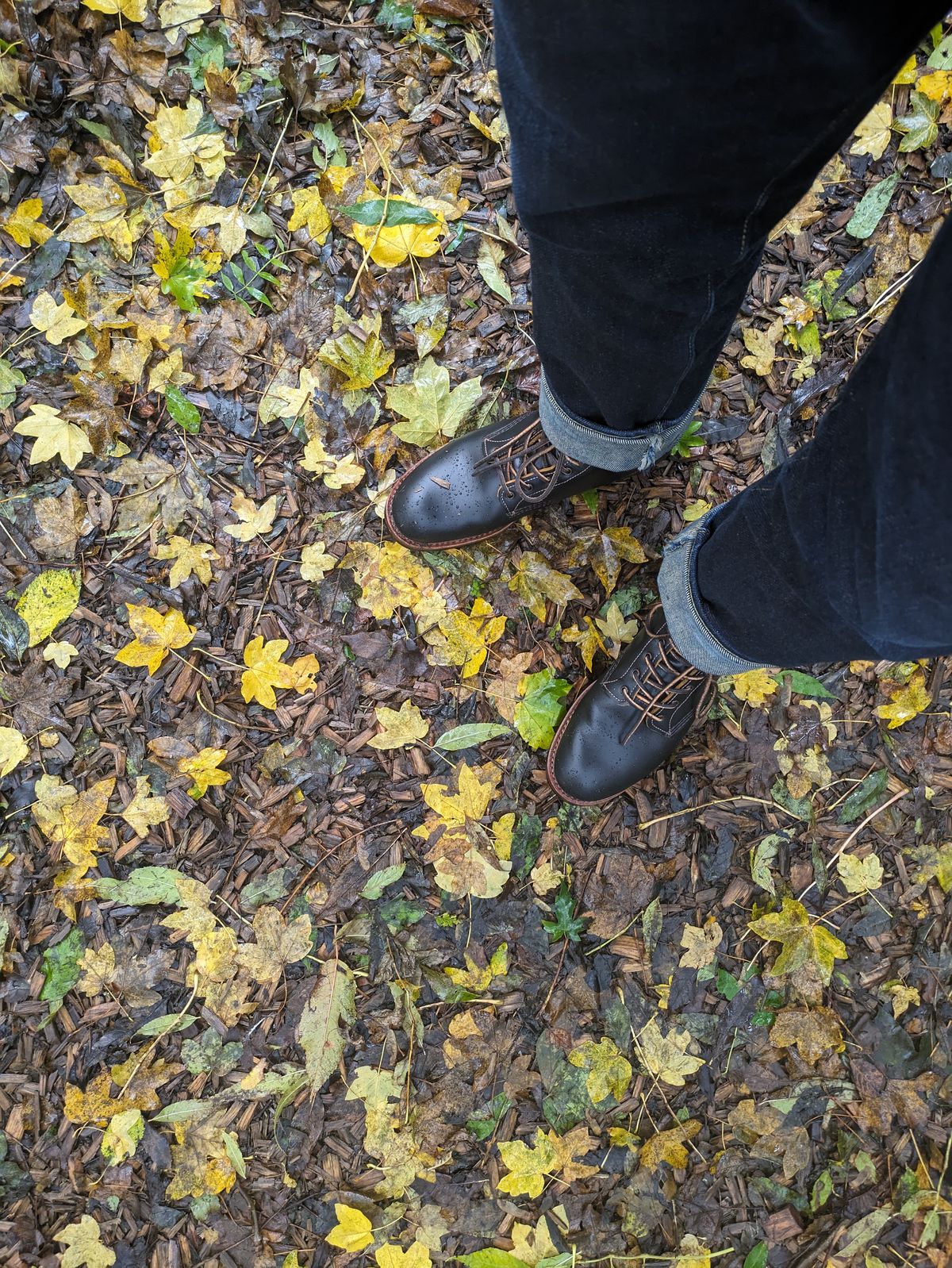 Photo by mvilla on November 9, 2023 of the Red Wing Beckman Flatbox in S.B. Foot Black Klondike.