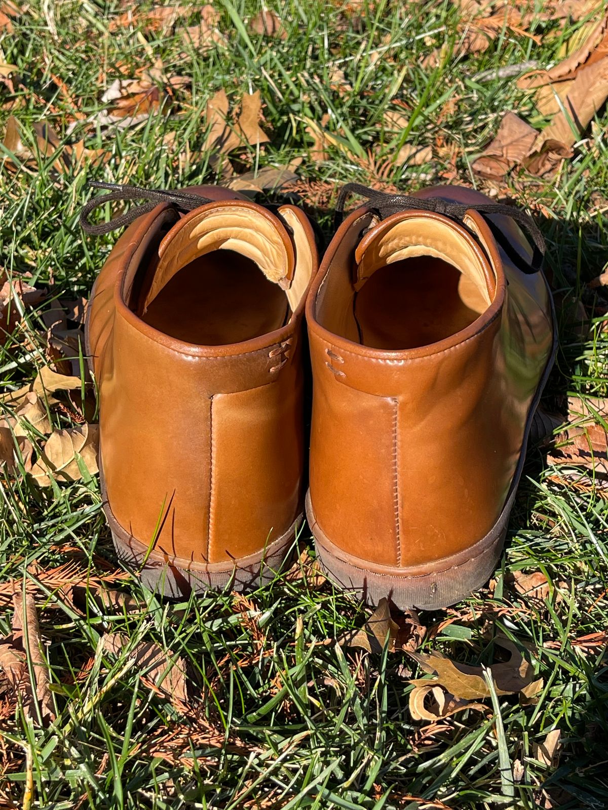 Photo by c.w.hogan on December 3, 2023 of the Crown Northampton Everdon in Horween Bourbon Shell Cordovan.