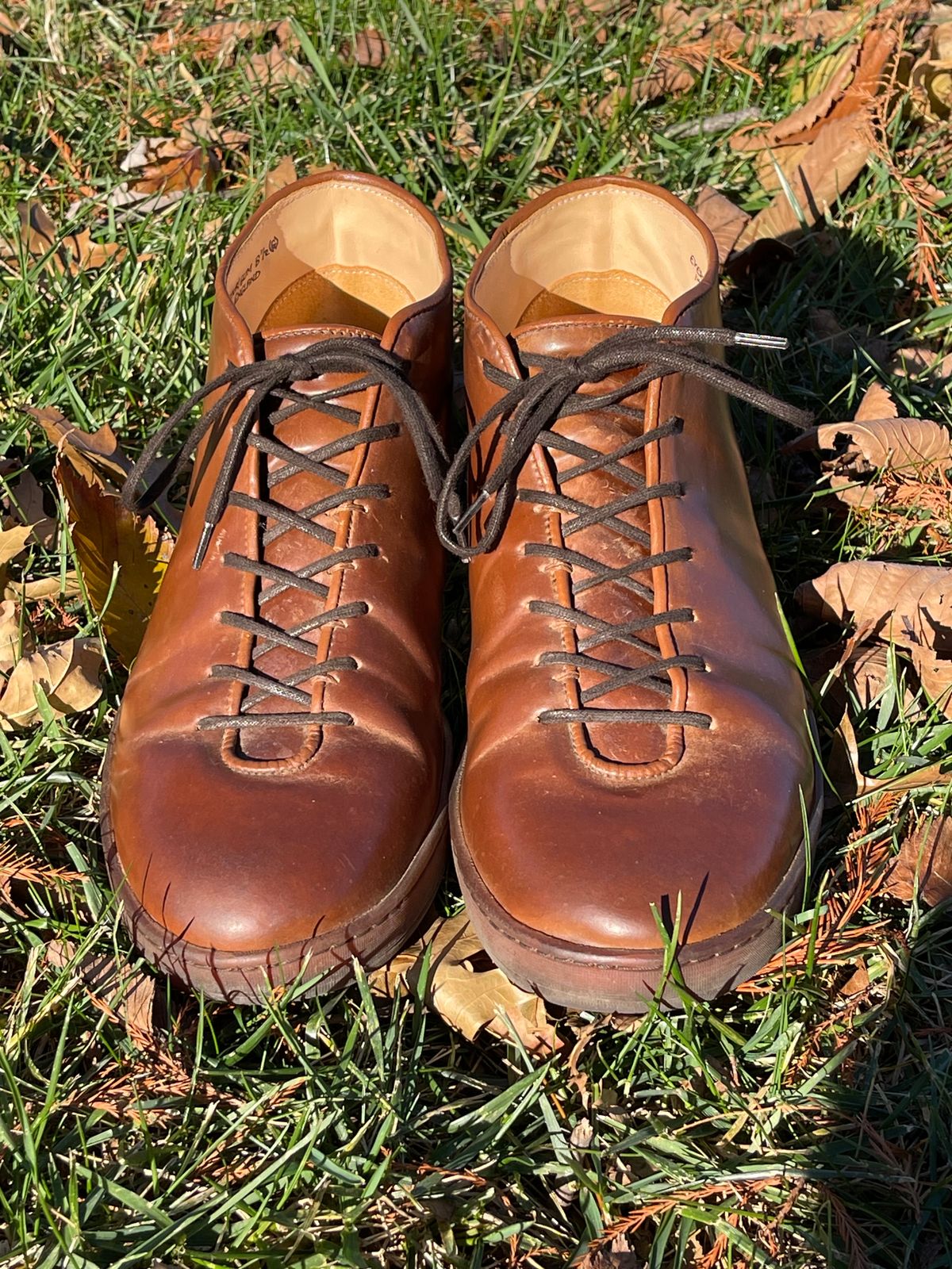 Photo by c.w.hogan on December 3, 2023 of the Crown Northampton Everdon in Horween Bourbon Shell Cordovan.