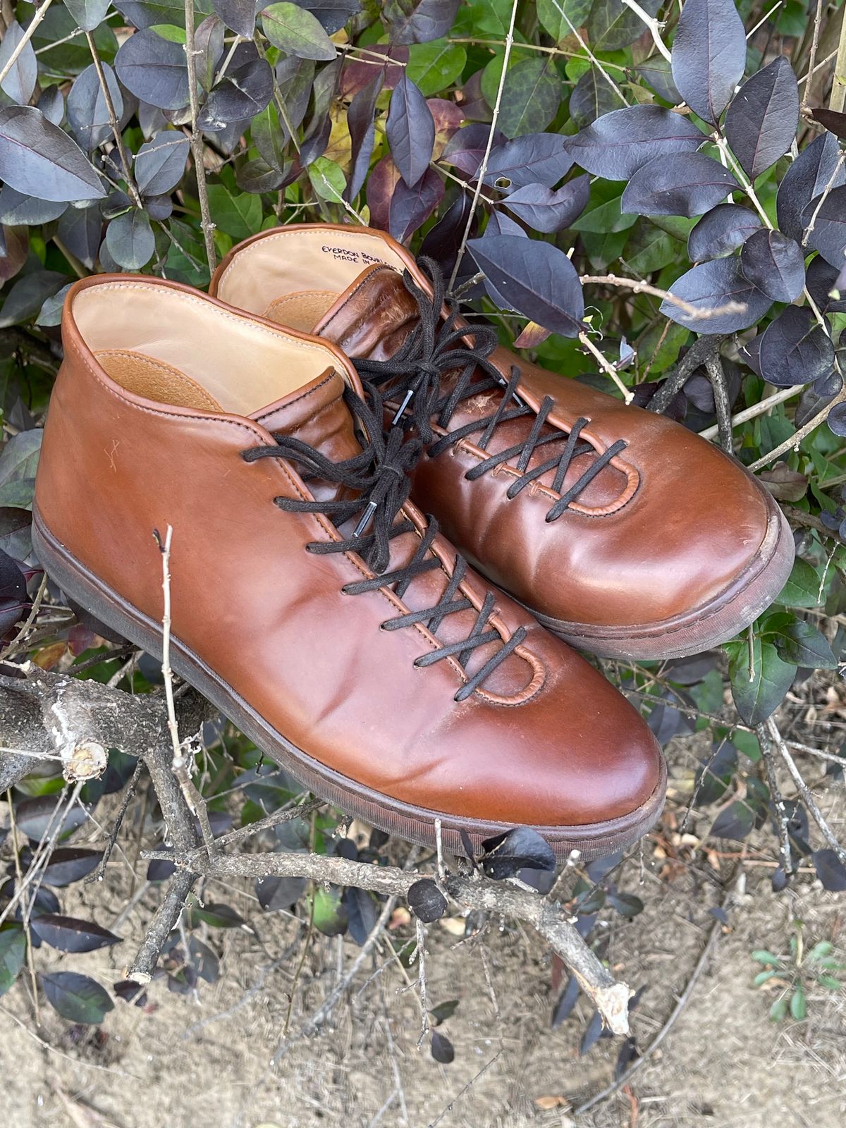 Photo by c.w.hogan on January 4, 2024 of the Crown Northampton Everdon in Horween Bourbon Shell Cordovan.